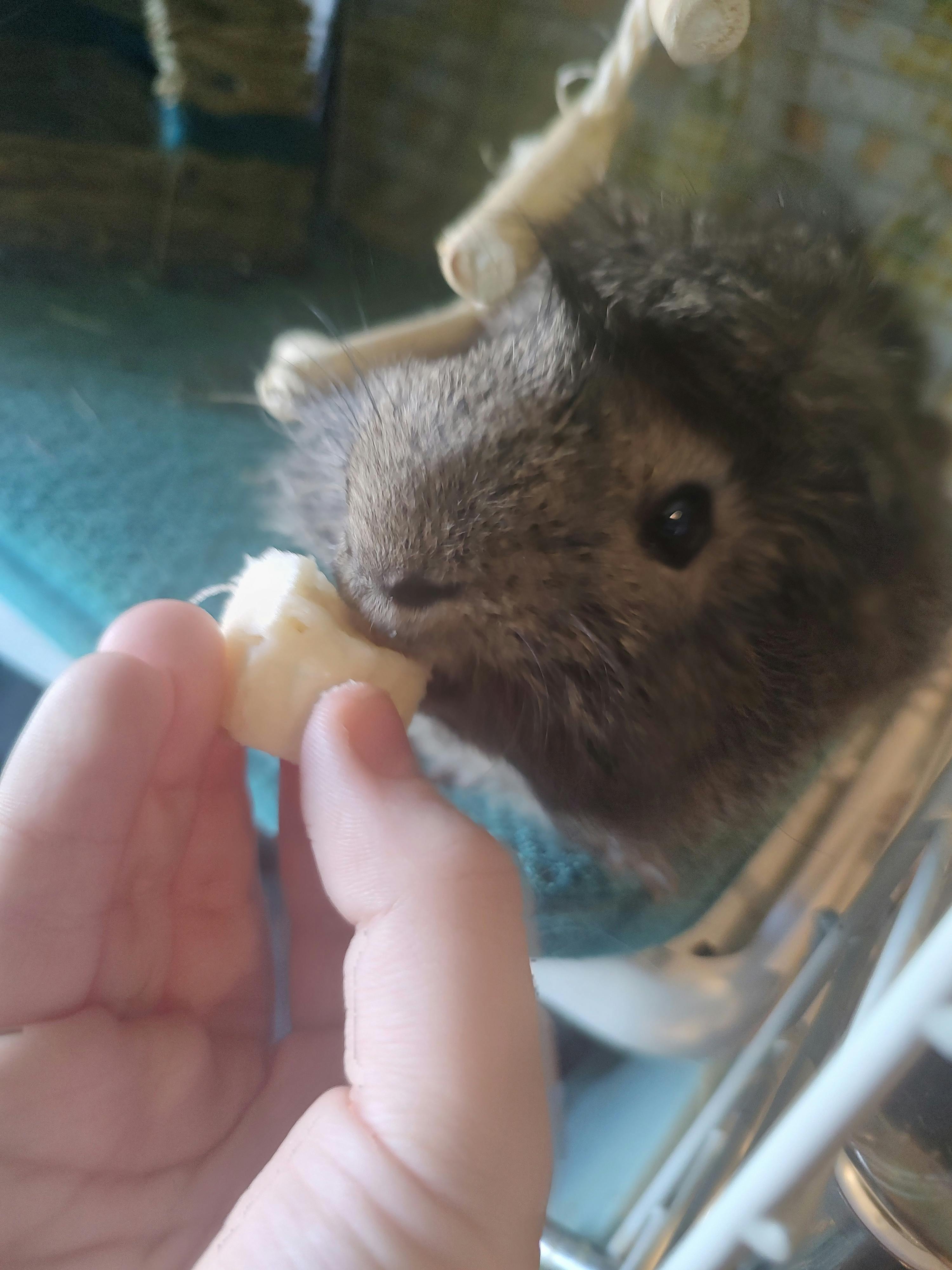 user avatar image for Sunflower