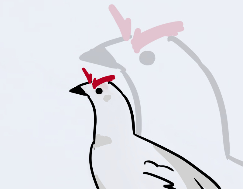 user avatar image for Buckthestar