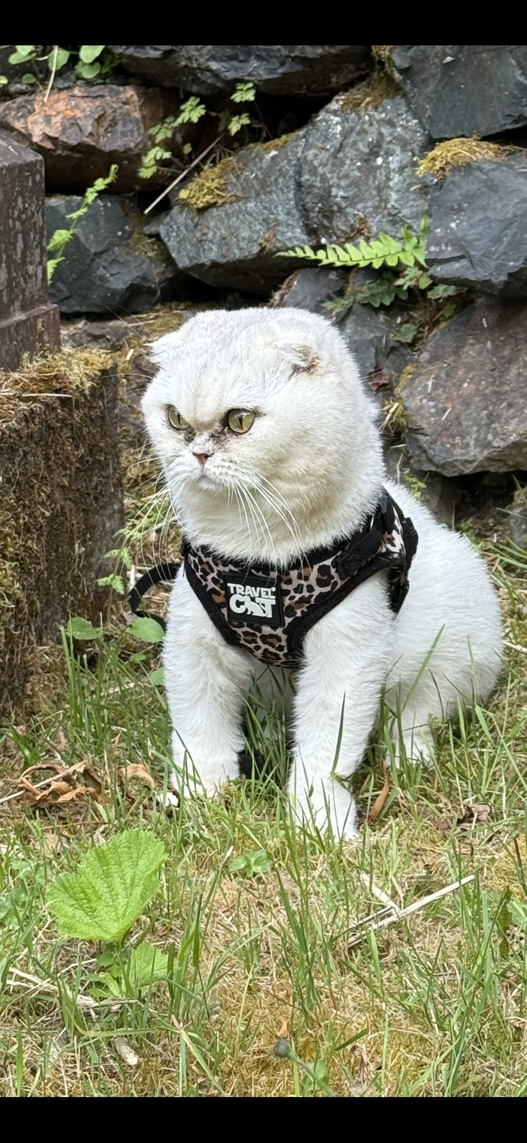 user avatar image for Jay Horak