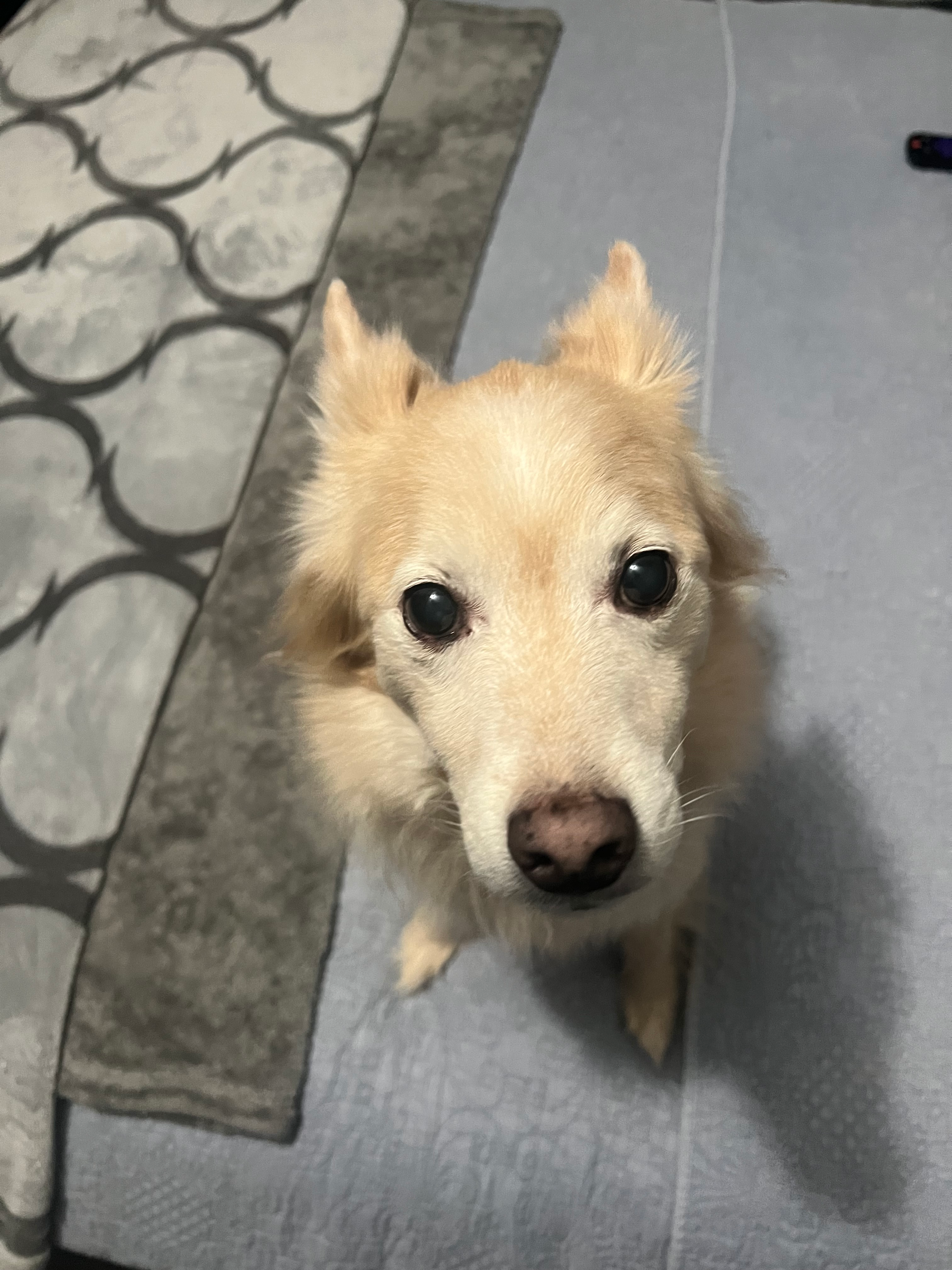 user avatar image for Danny Sandoval