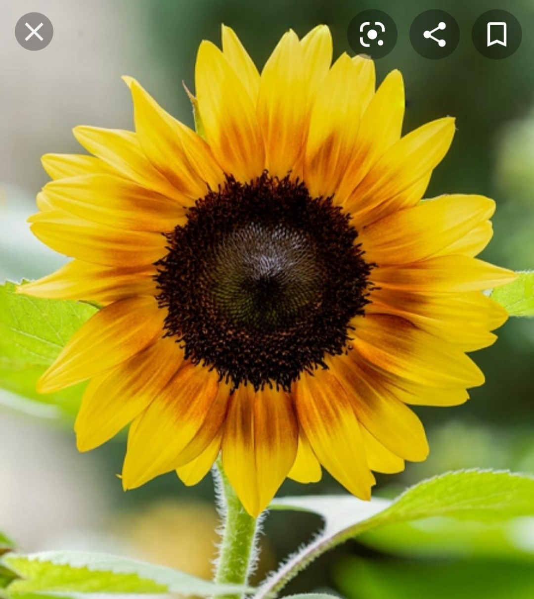 user avatar image for Angie