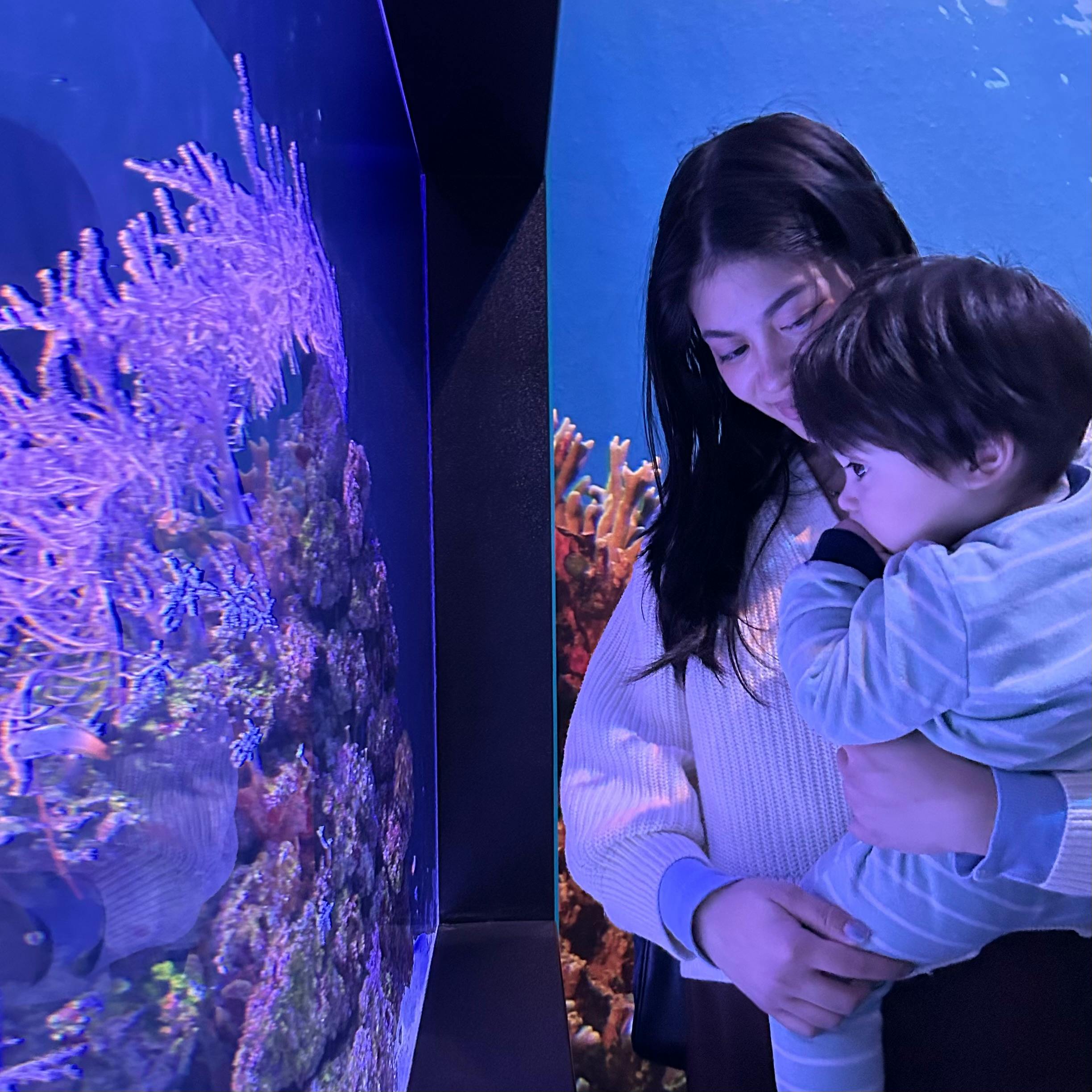 user avatar image for Pea and Princess