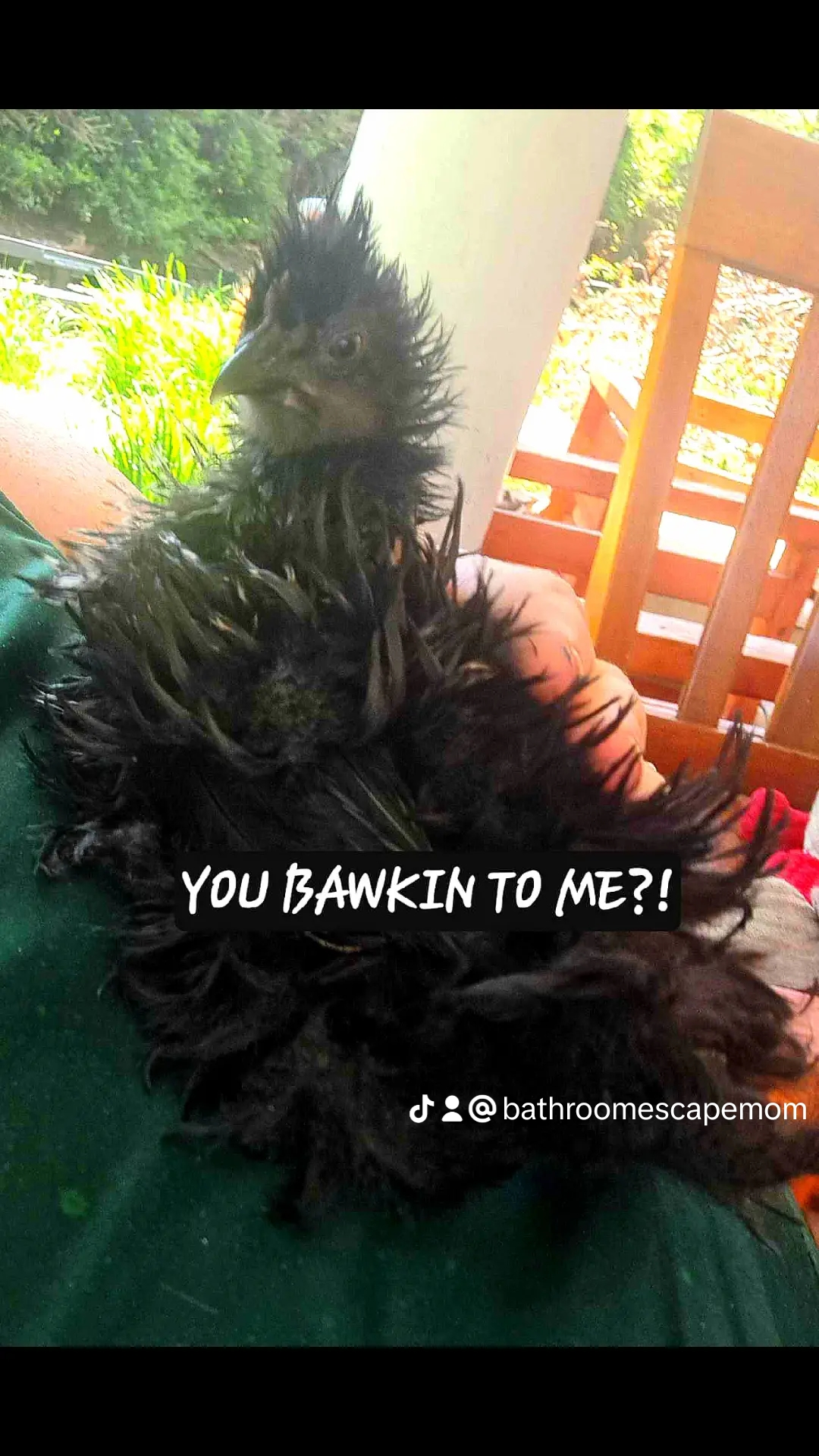 user avatar image for Marcie