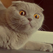 user avatar image for Simon Goričar