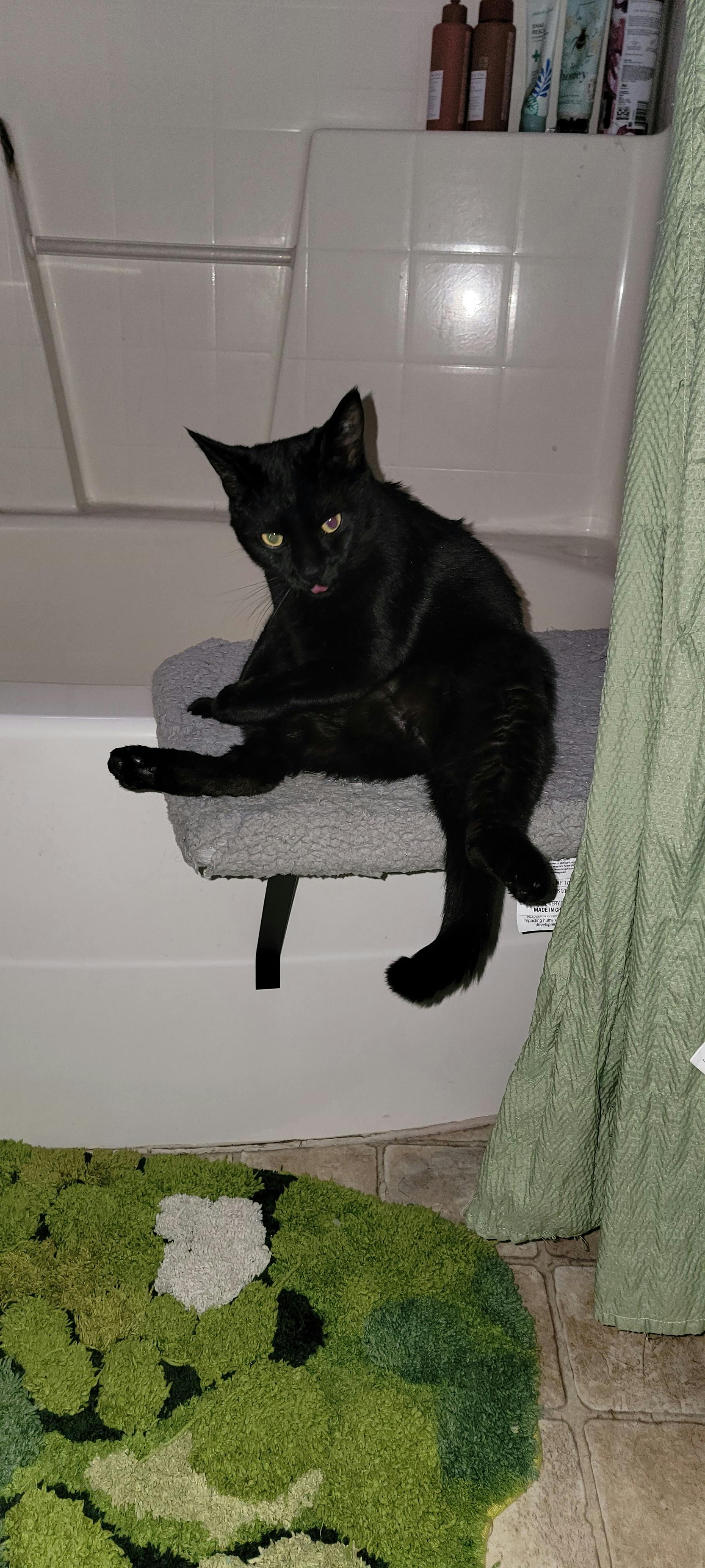 user avatar image for Alysha