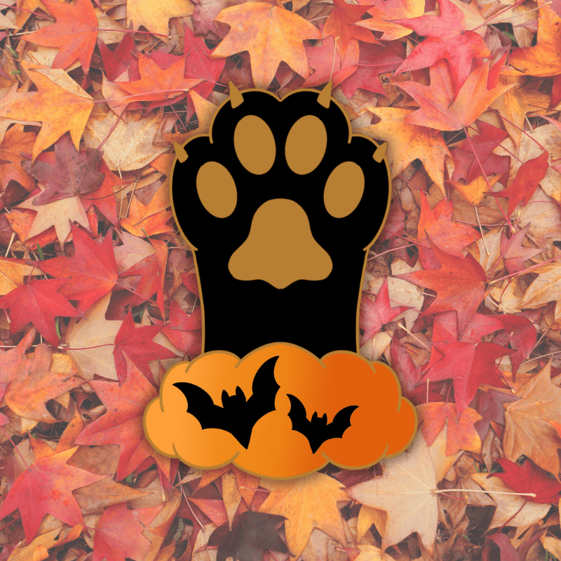 Autumn Cat Paw Magnet