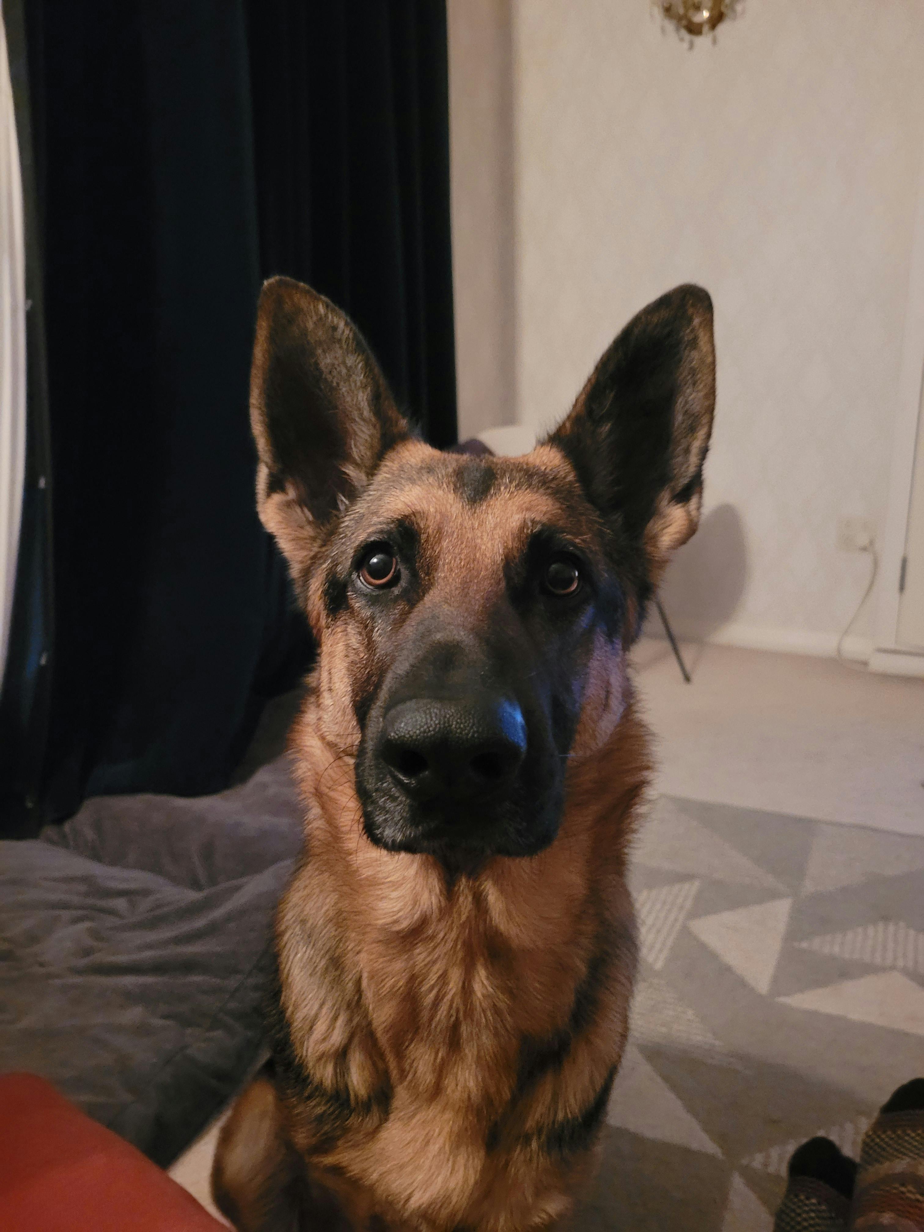 user avatar image for Justin Tylee