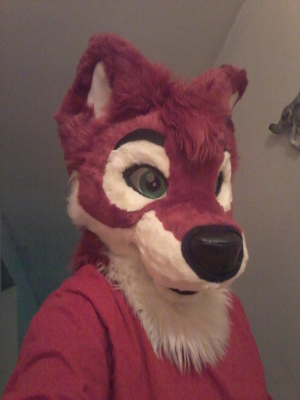 user avatar image for WolfDragonSoul