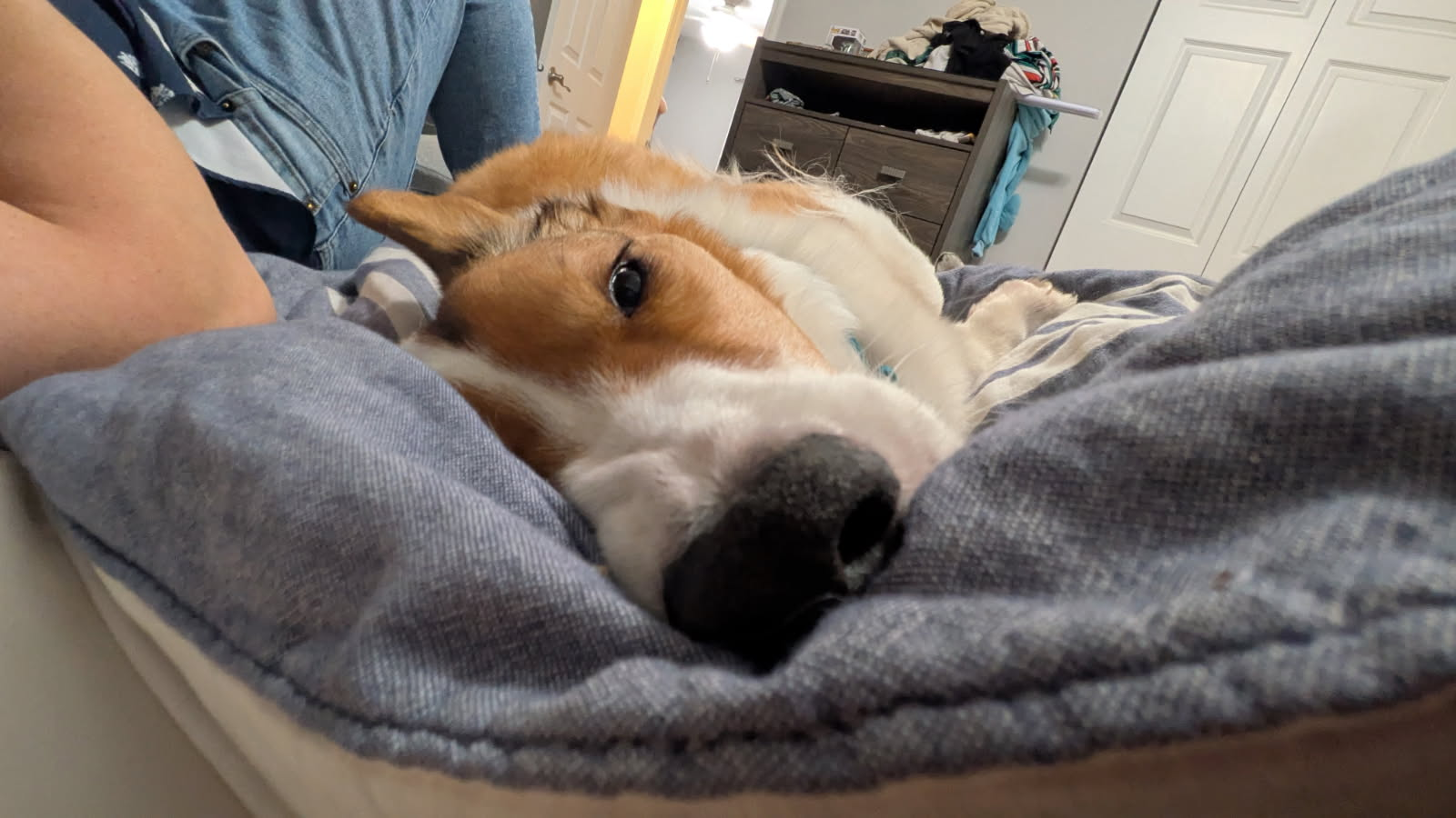 user avatar image for Jon