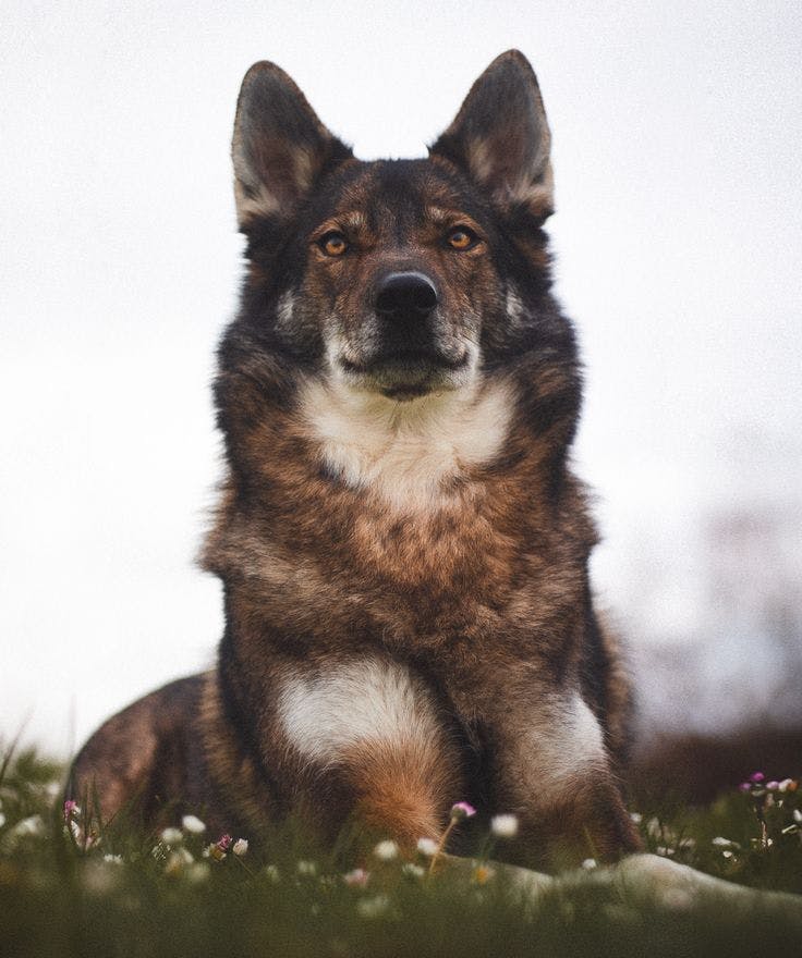 user avatar image for Sydney