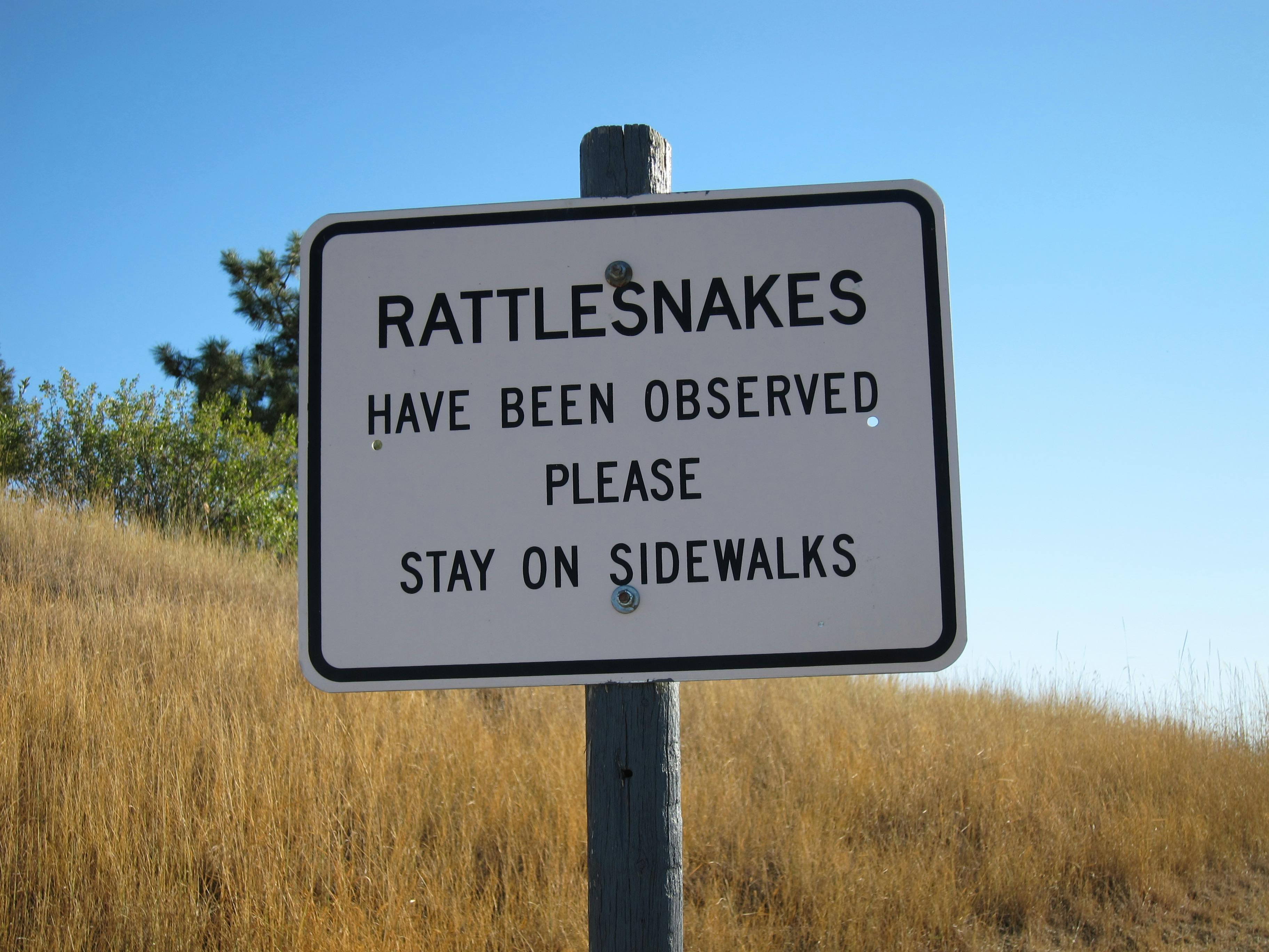 user avatar image for eklehr