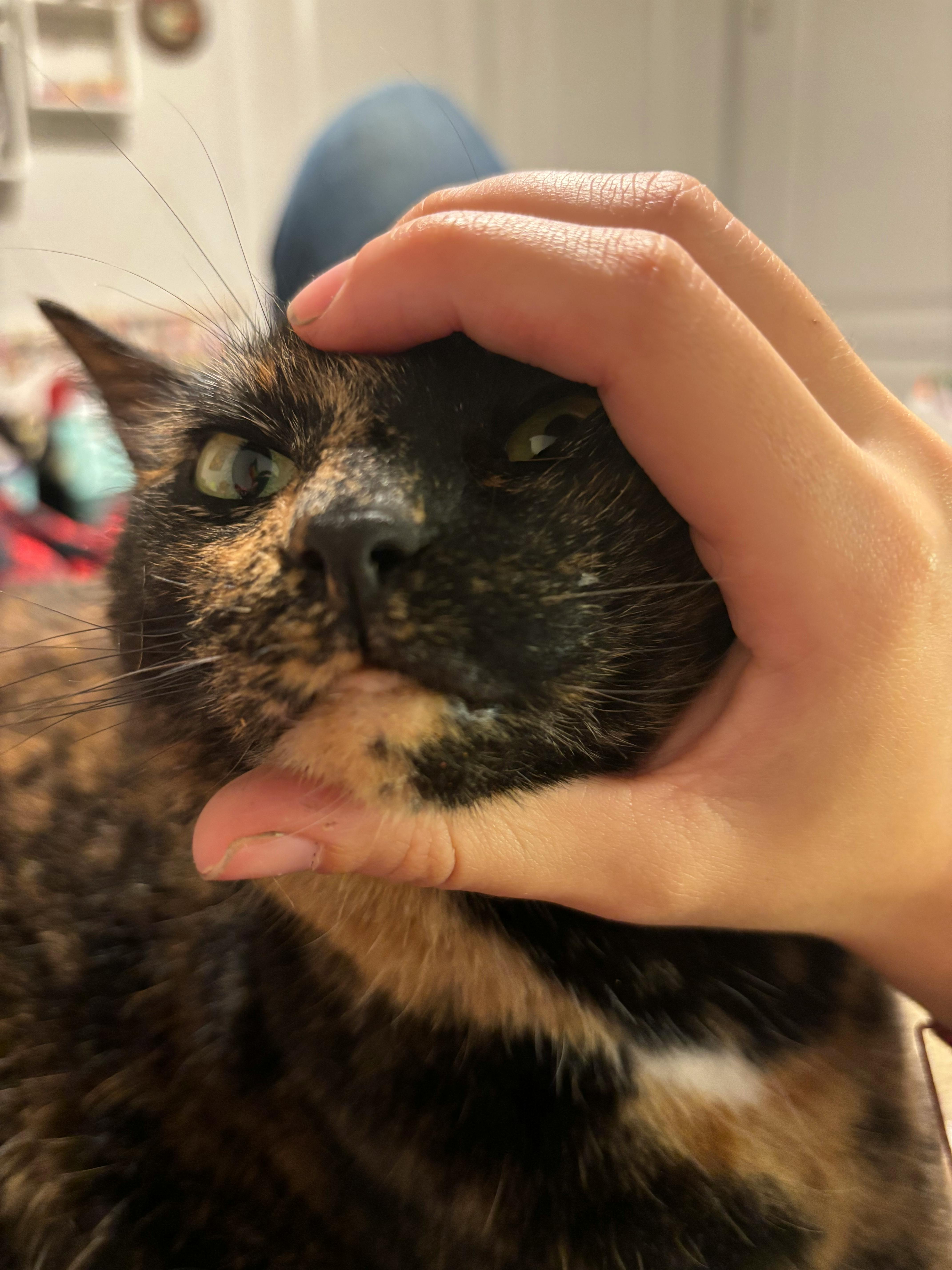 user avatar image for Hope Higginbotham