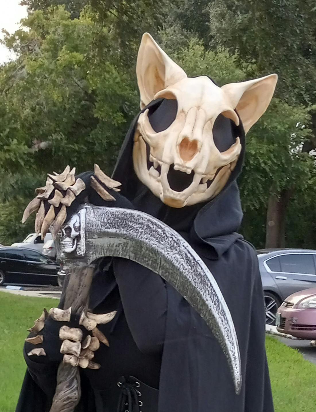 user avatar image for Eri Hemlock