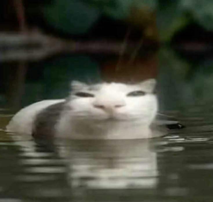 user avatar image for Lukas