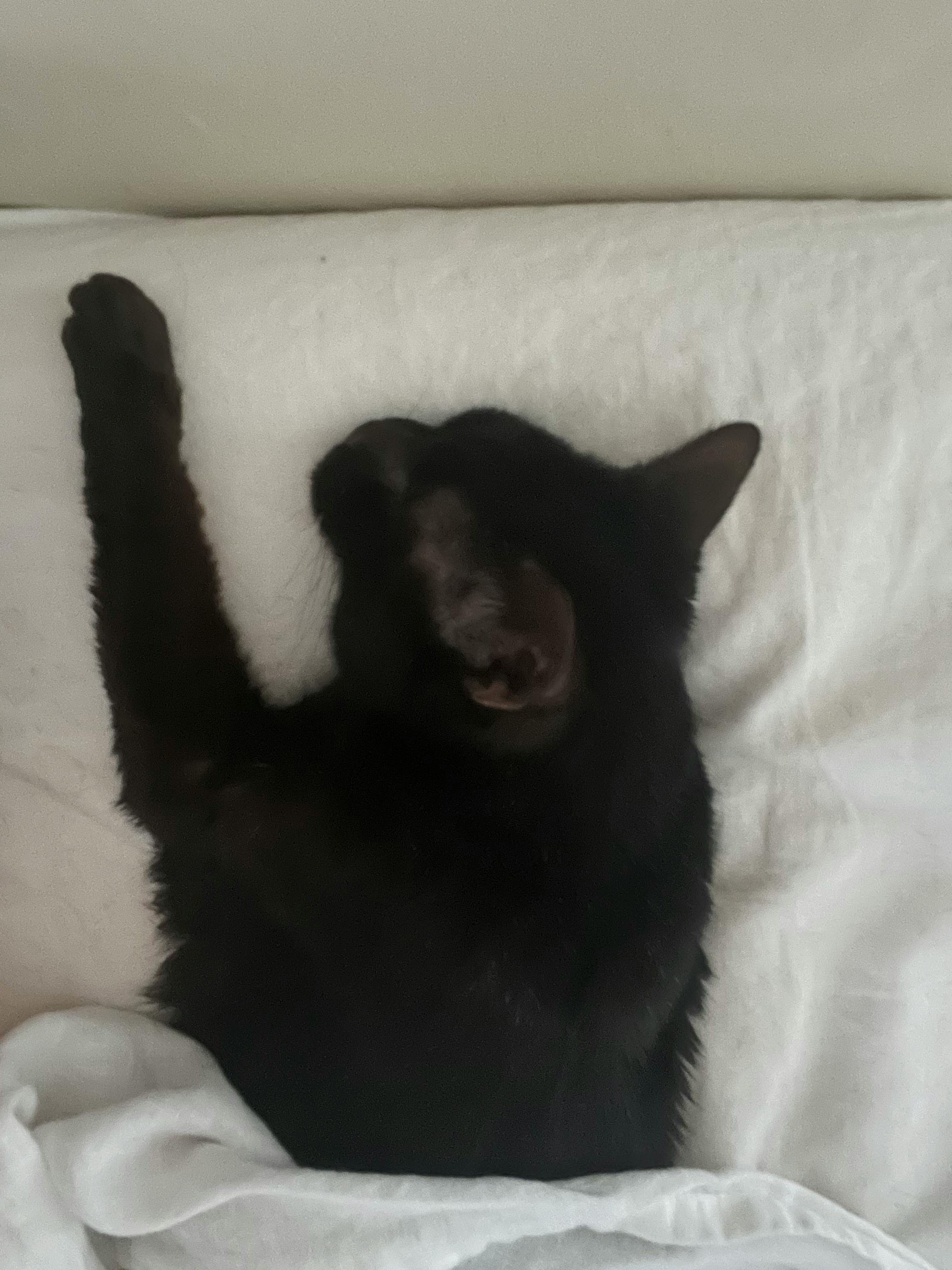 user avatar image for Alicia