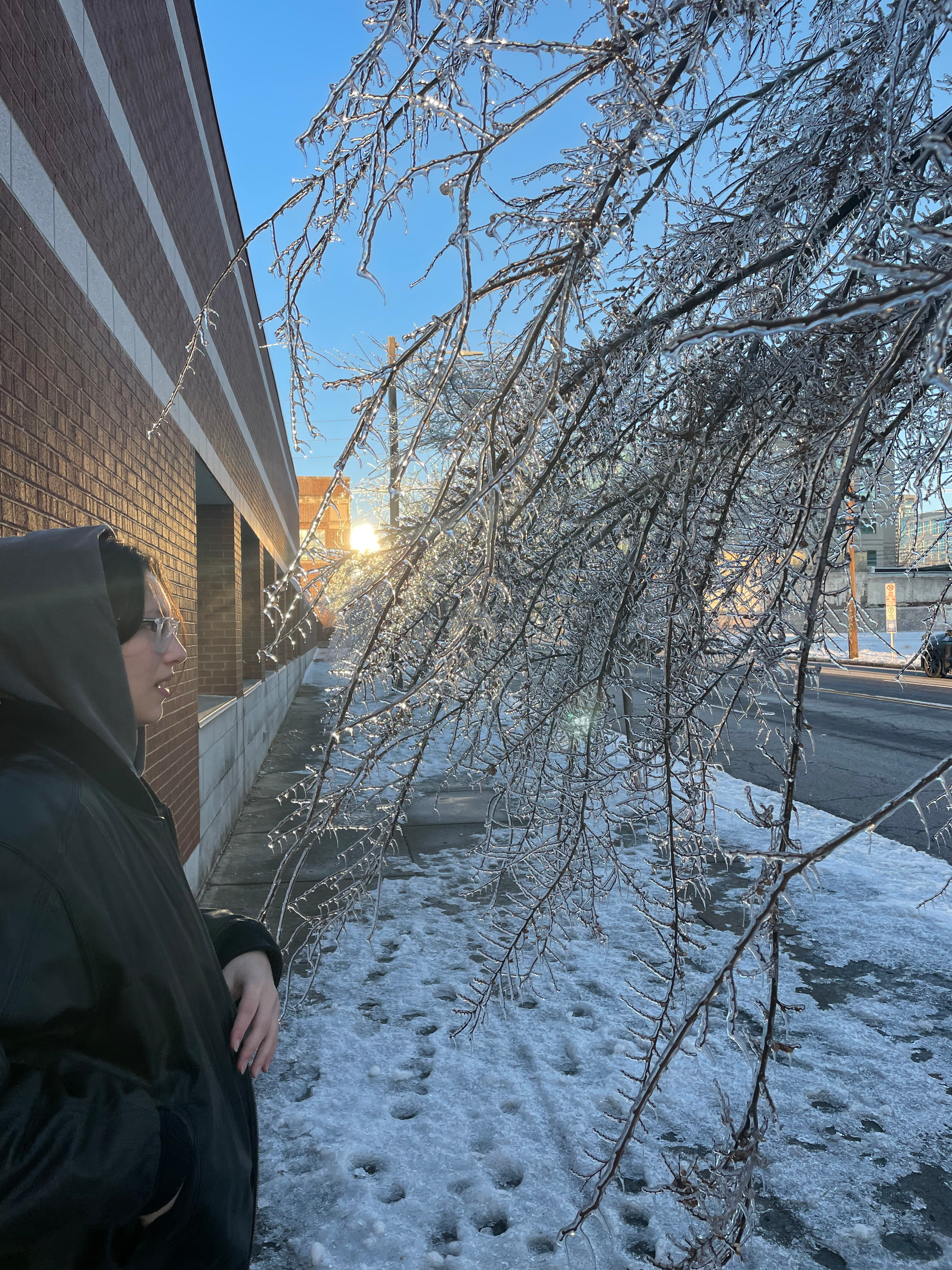 user avatar image for Sarah