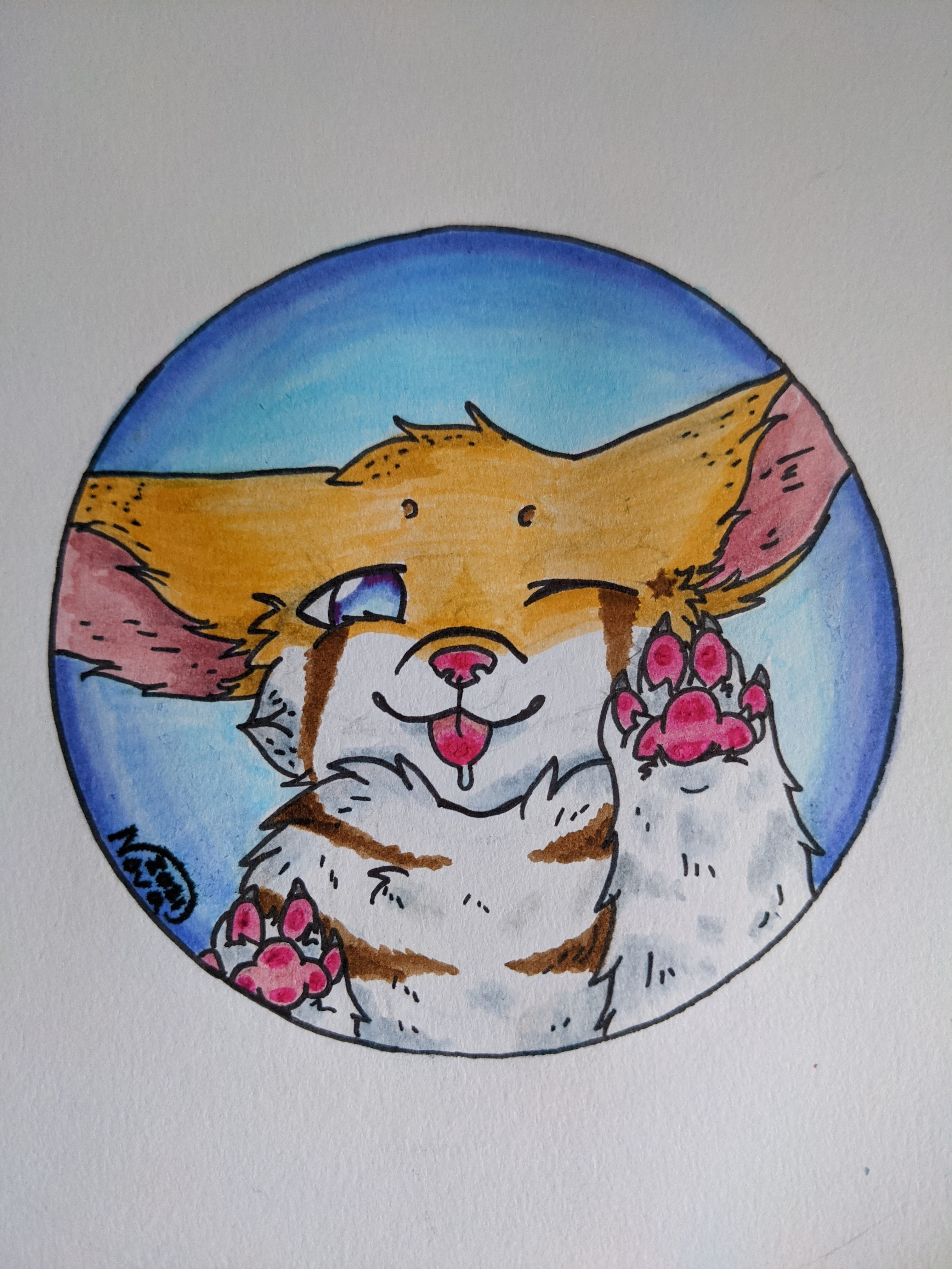 user avatar image for Nova