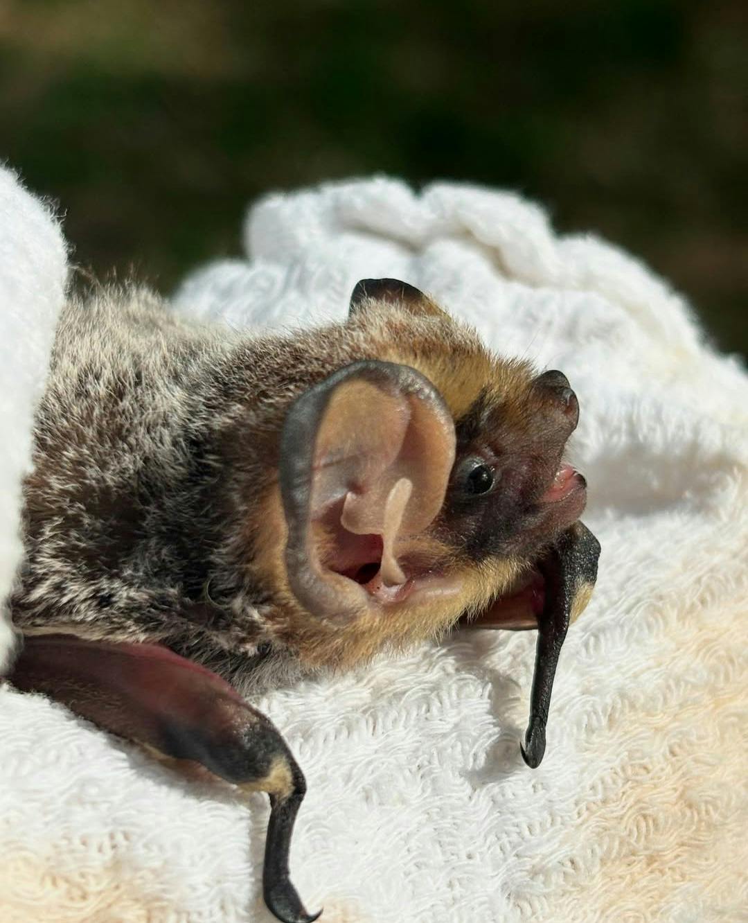 user avatar image for Gigi