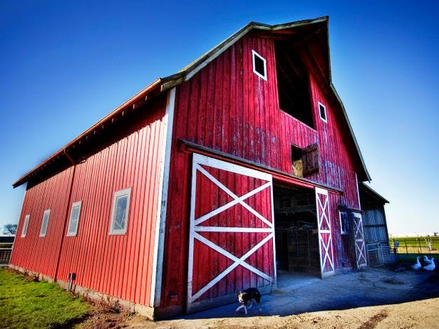 user avatar image for Cameron Sawyer