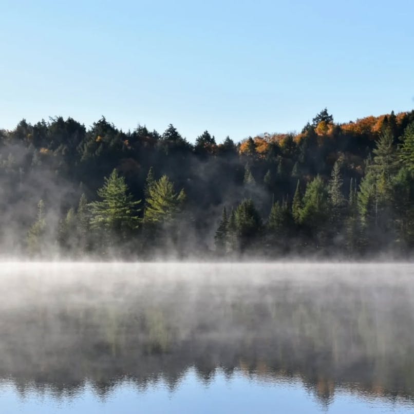 user avatar image for gerald