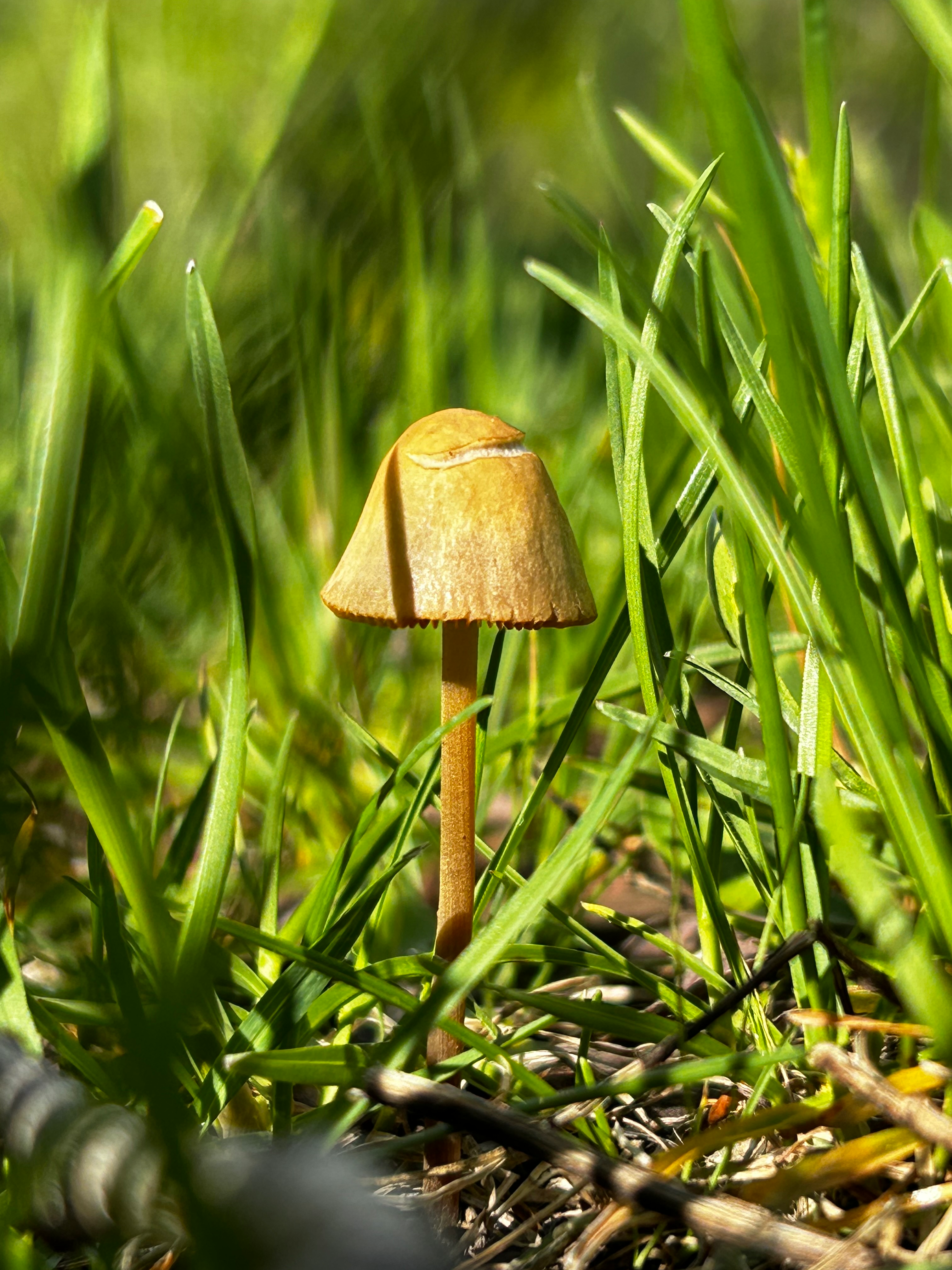 user avatar image for August
