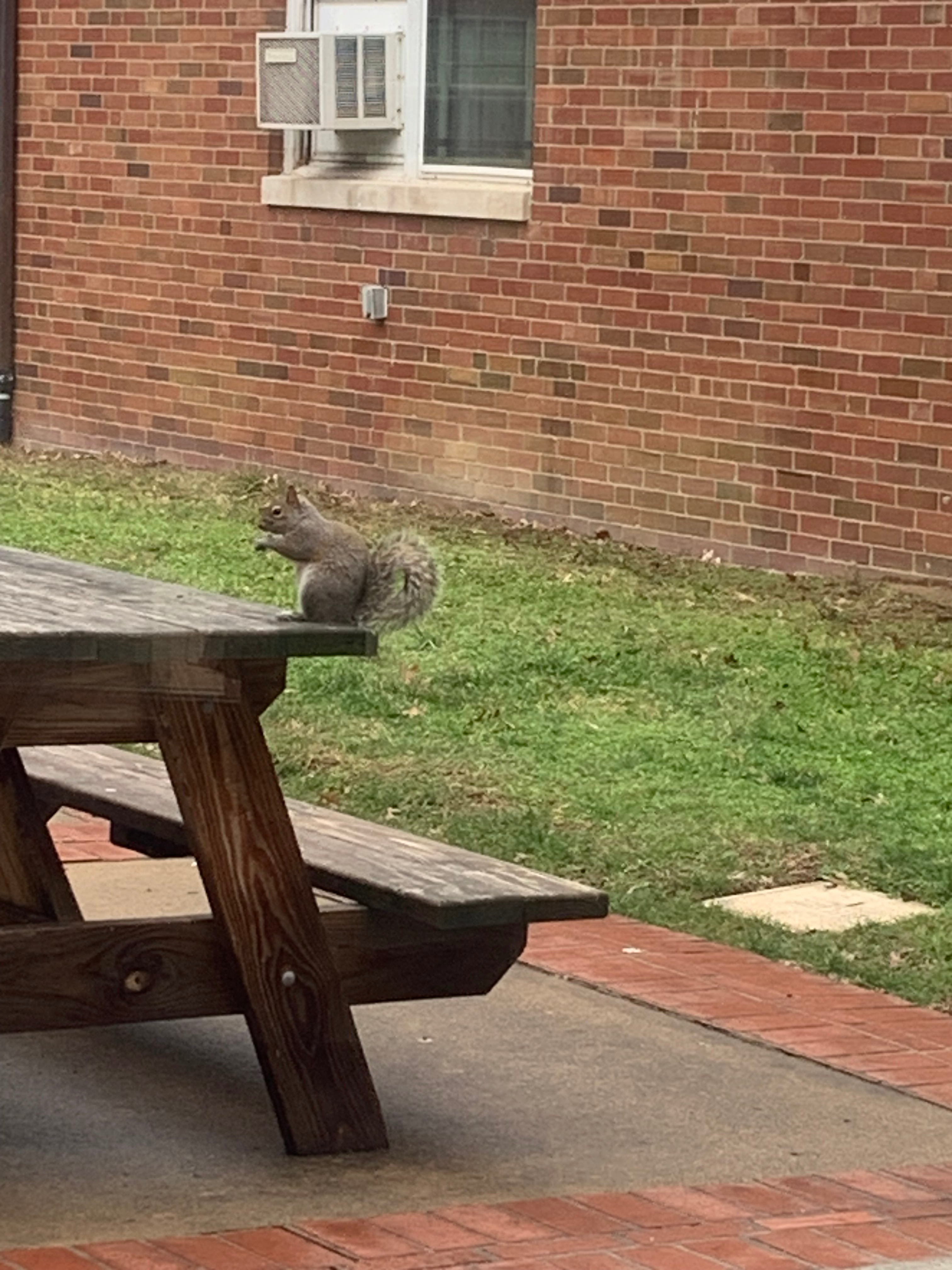 user avatar image for Hattie Sherman