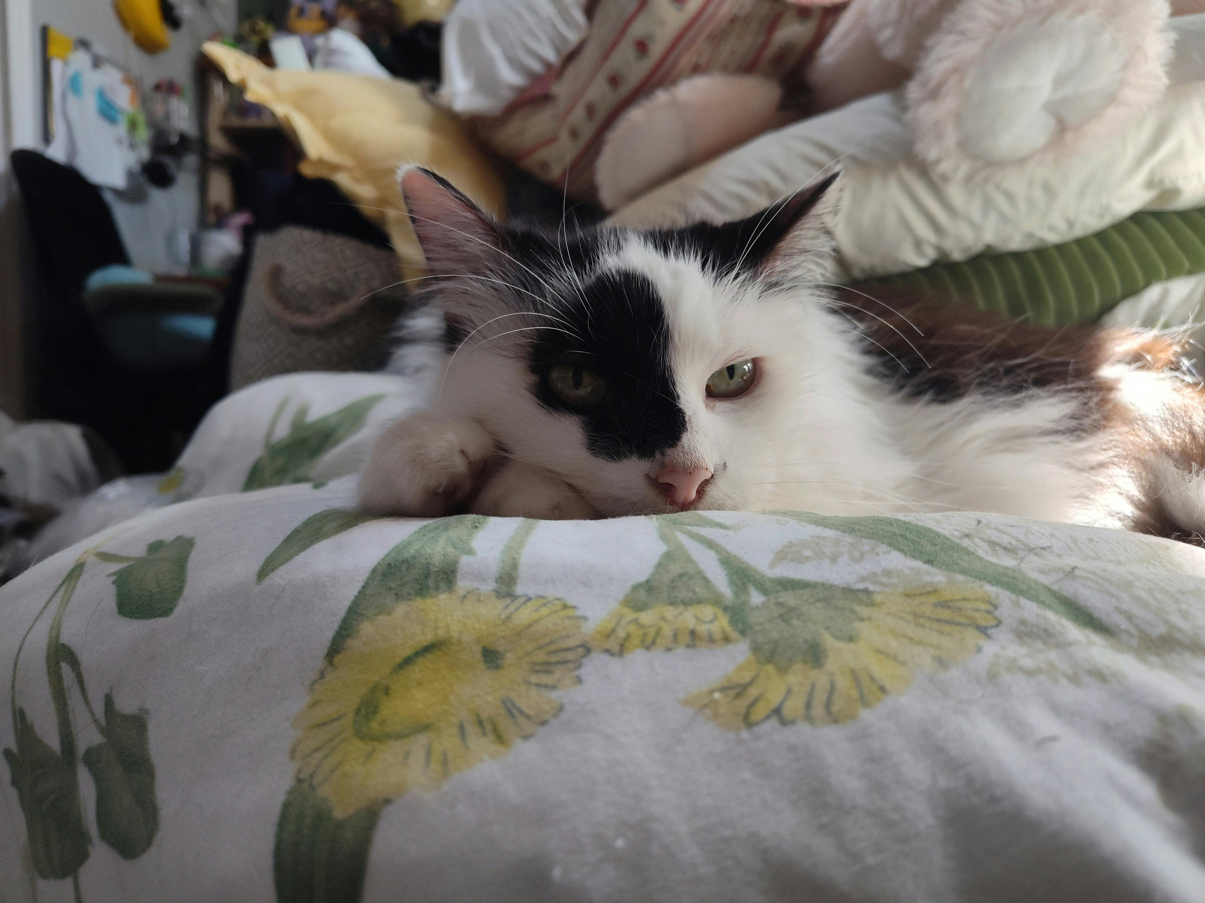 user avatar image for Meg