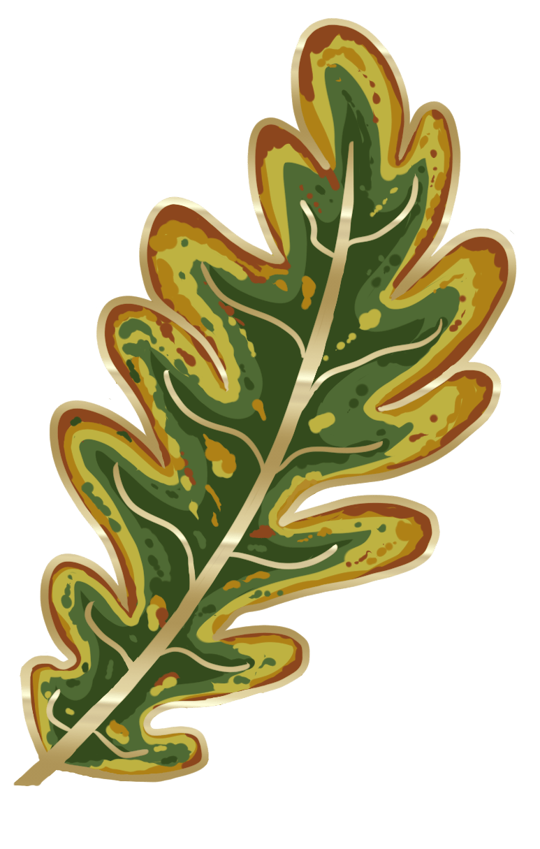 Oak leaf