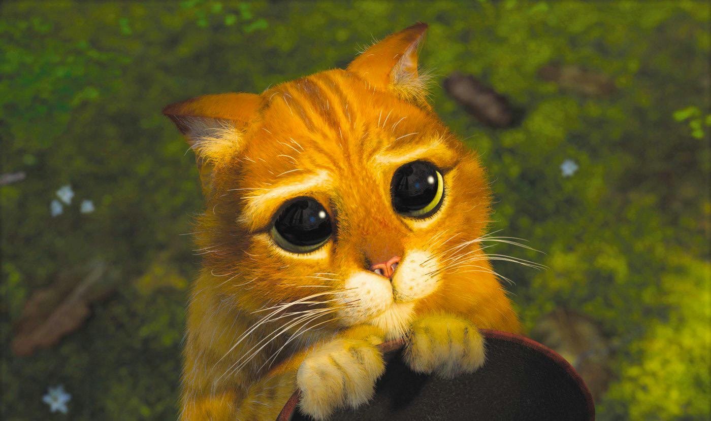 user avatar image for Gregg
