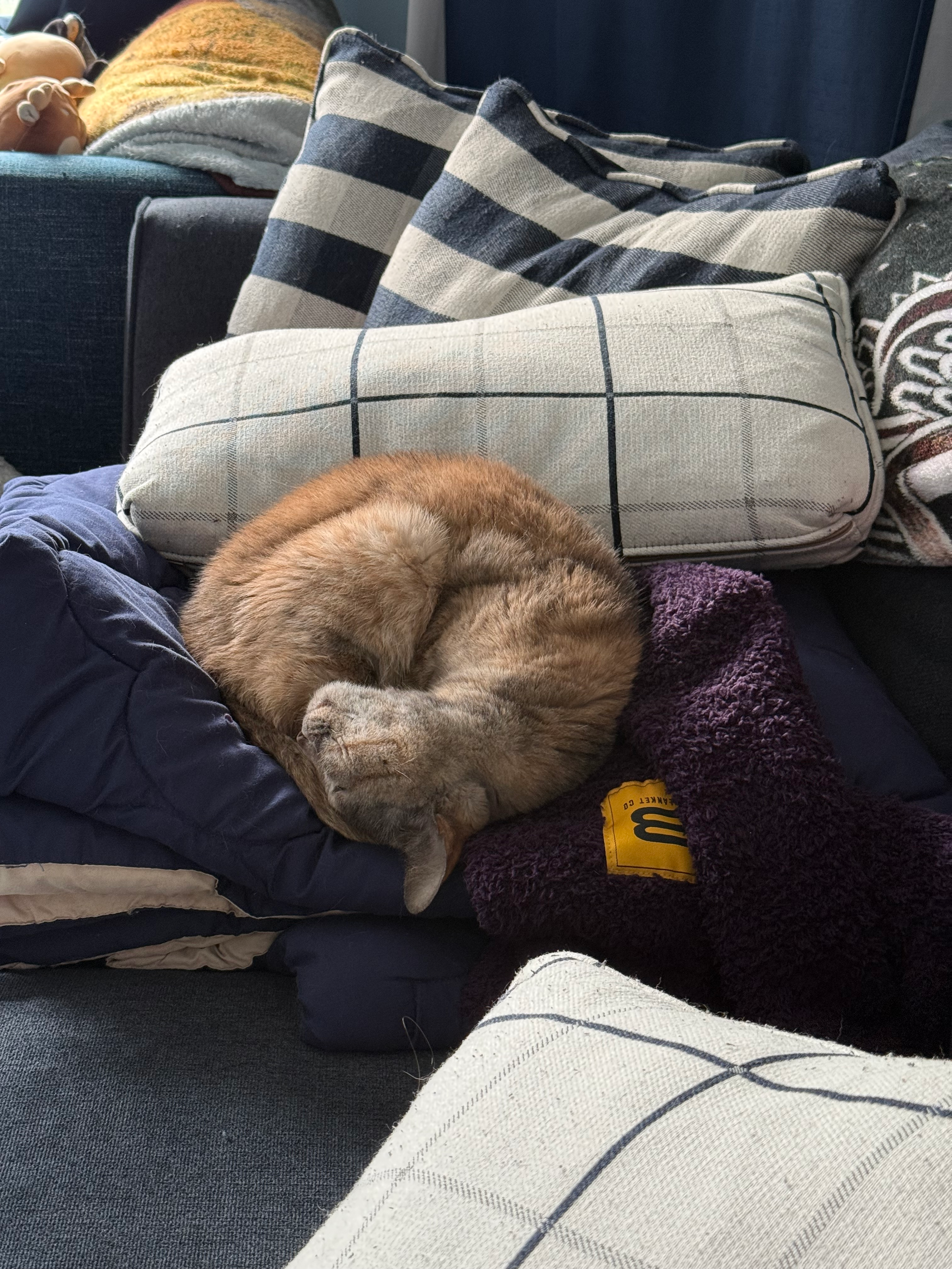 user avatar image for Nicole