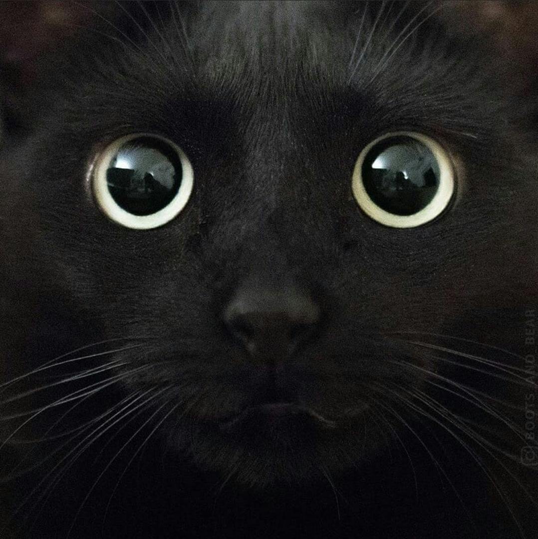 user avatar image for T.B