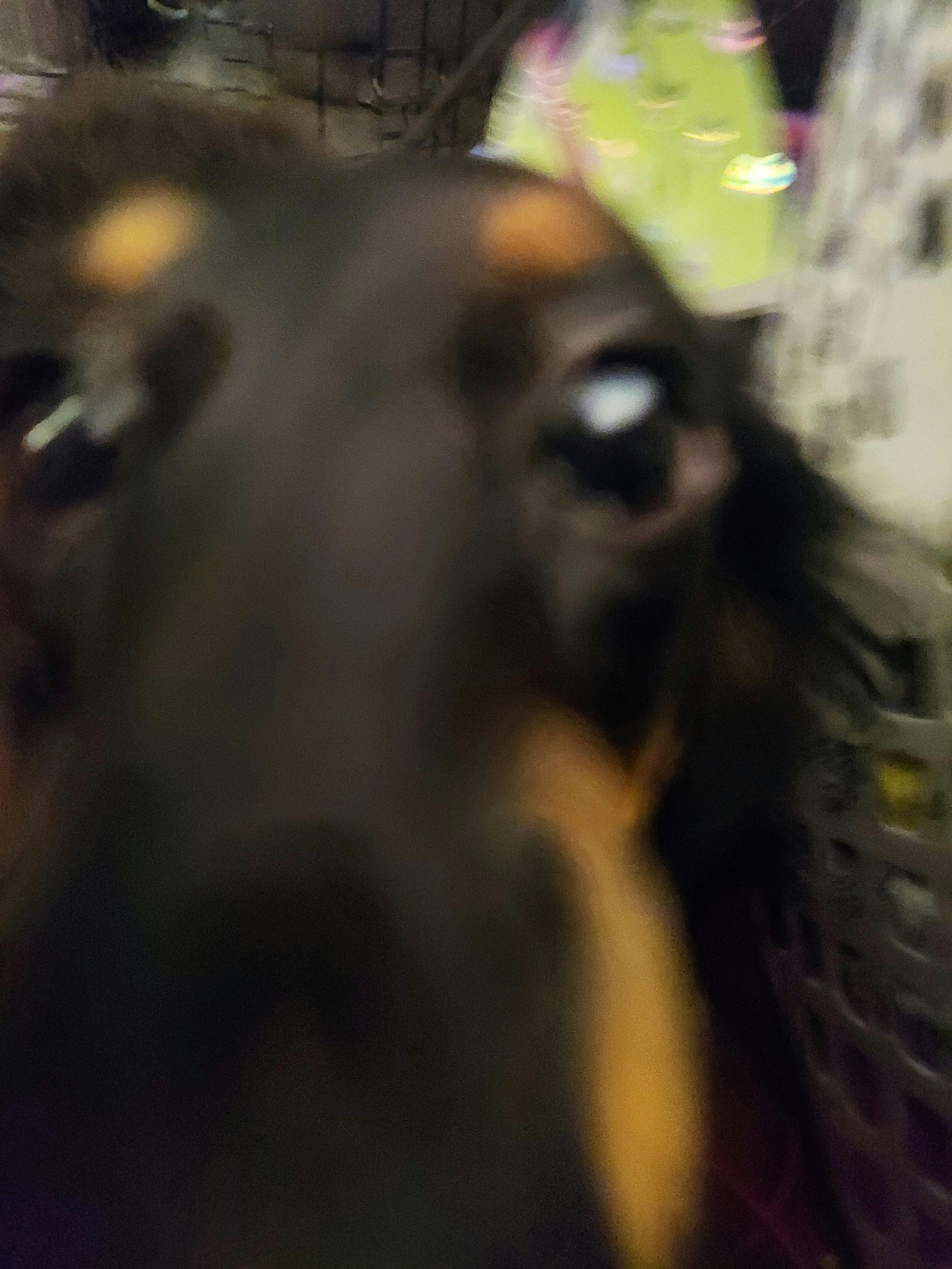 user avatar image for Donnie