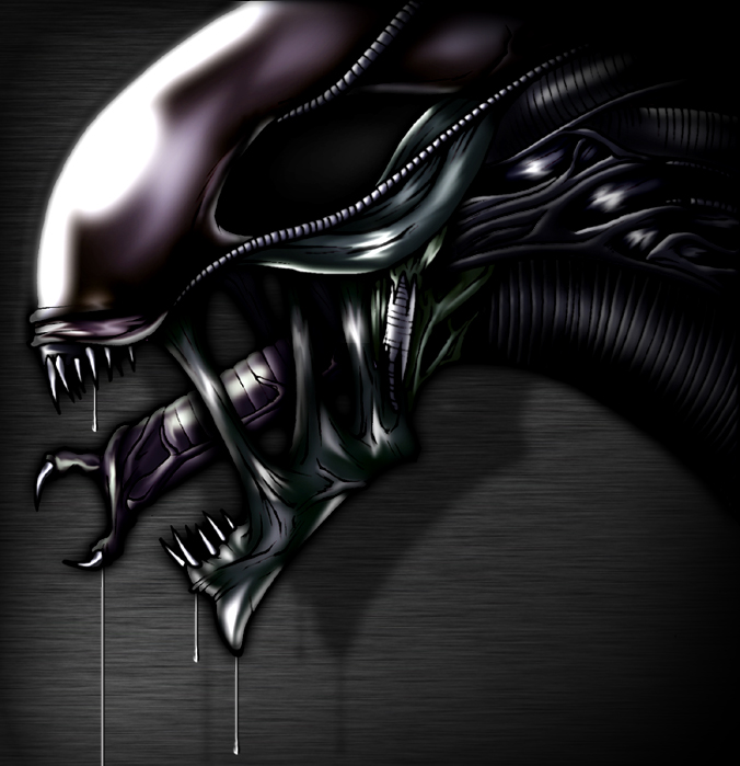 user avatar image for Raven