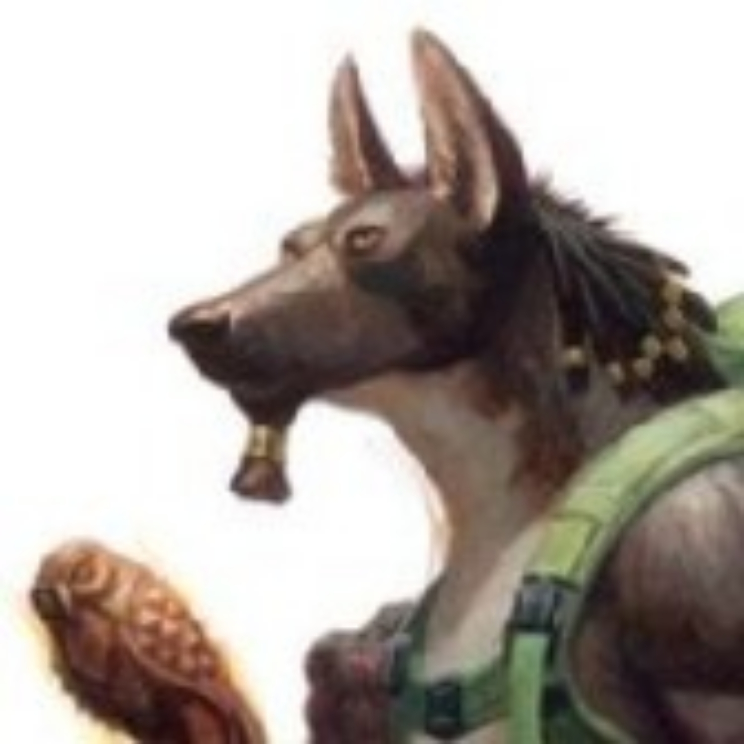 user avatar image for n4tune8