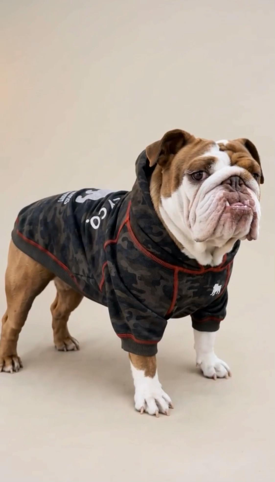 The Hoodie Built for Bulldogs