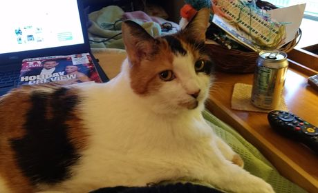 user avatar image for Featherstych