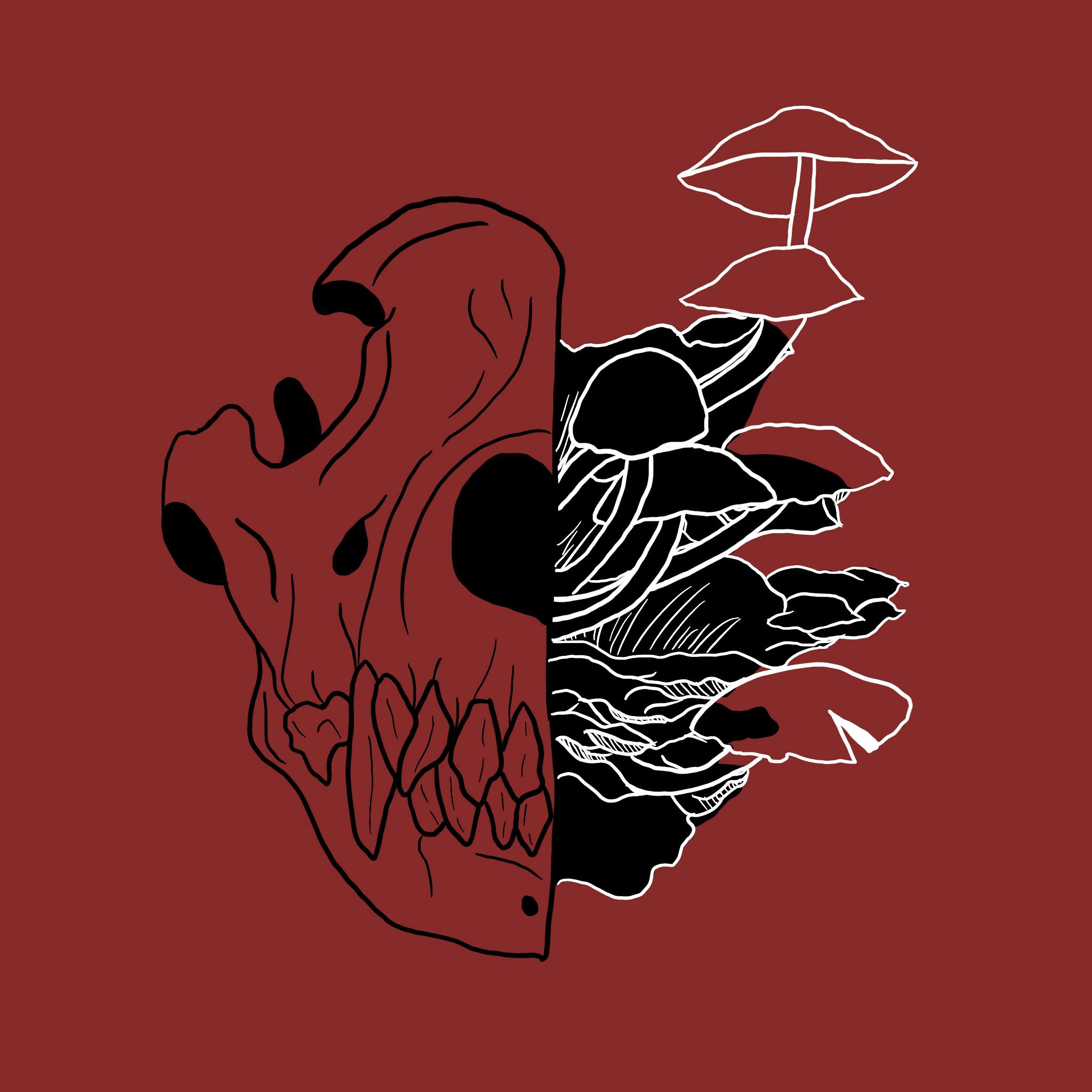 user avatar image for Quinn