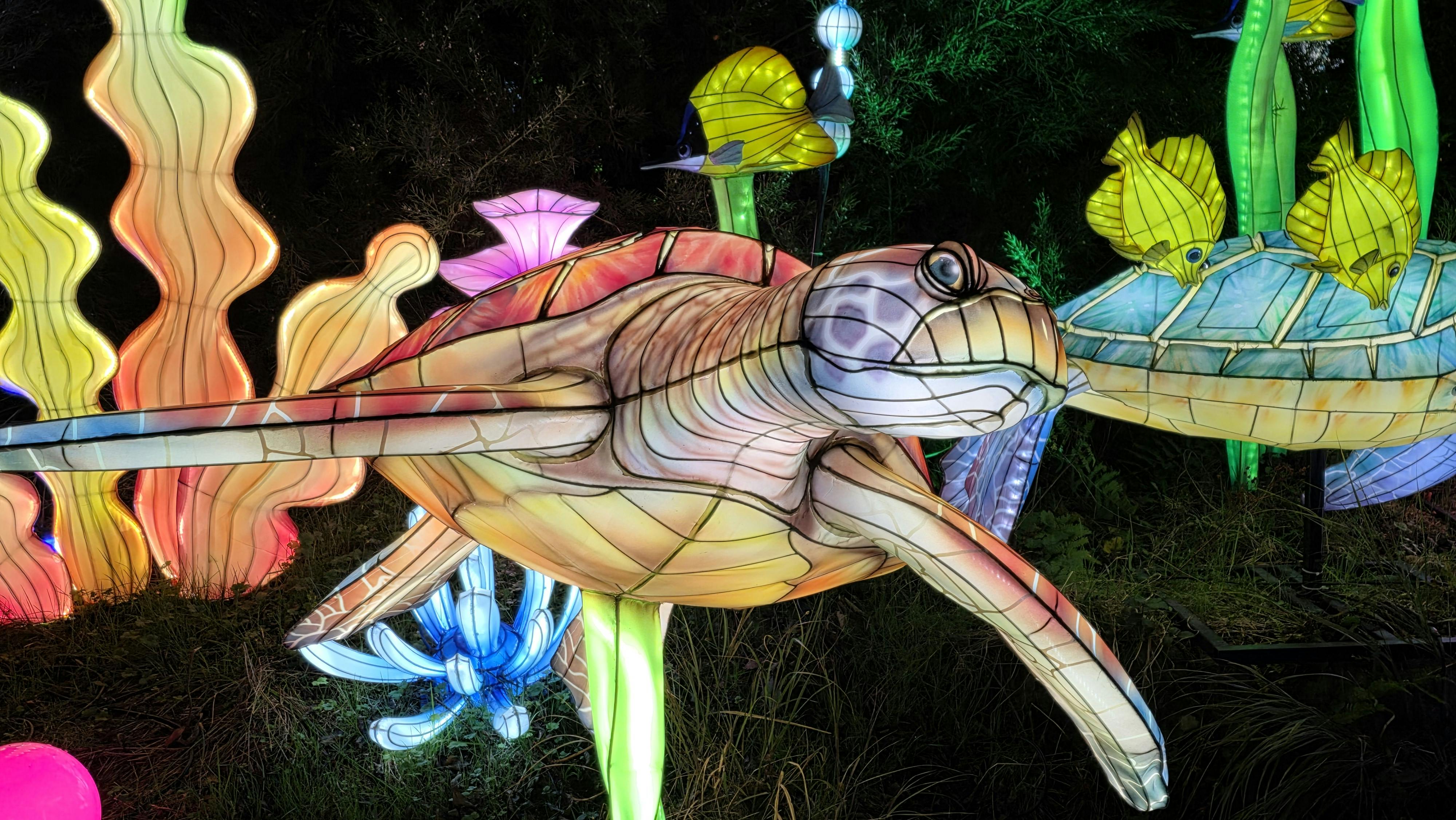 user avatar image for SGrad1