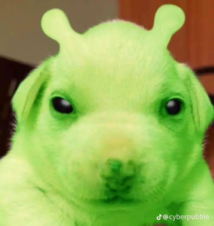 user avatar image for Caspian Williams