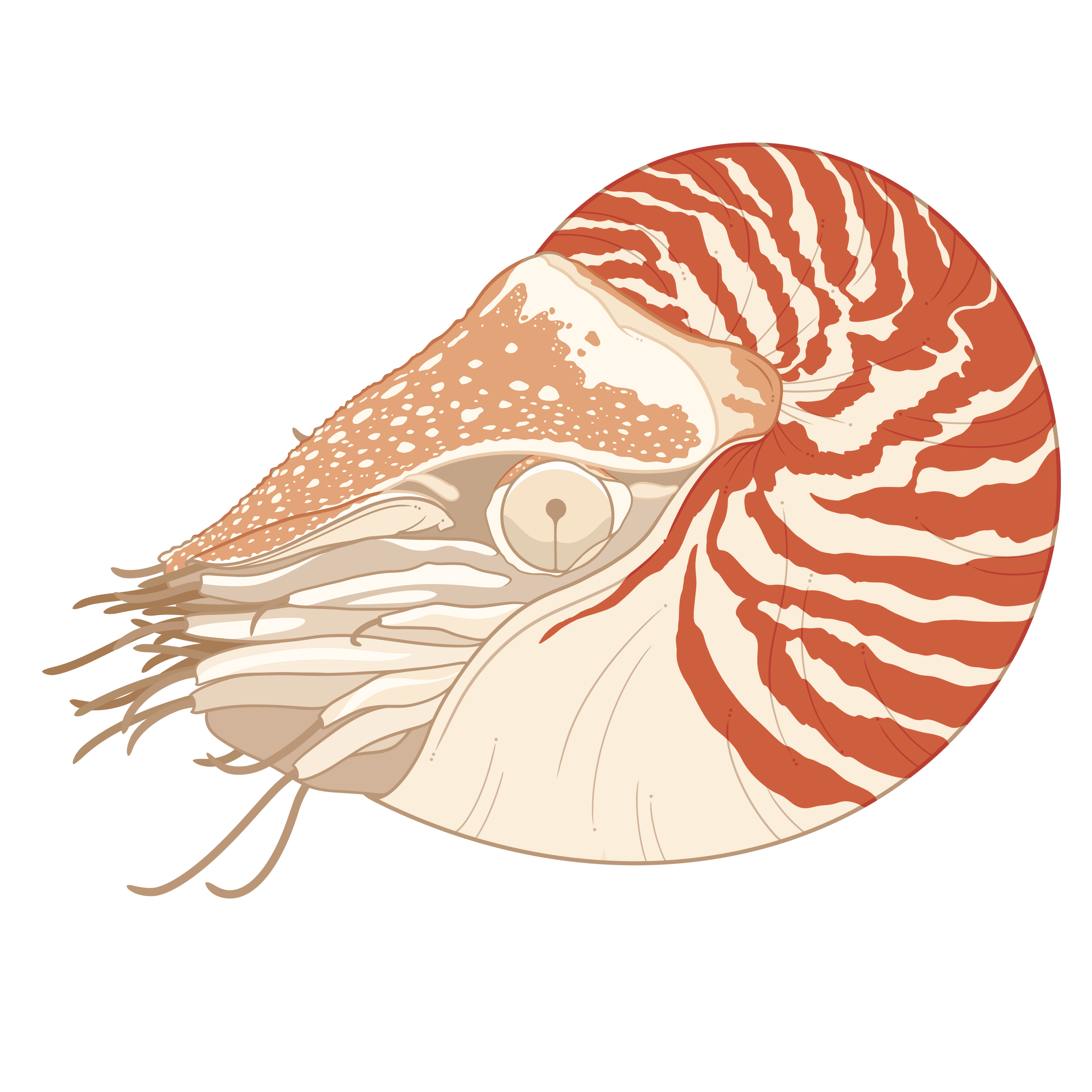 Creator Mystery Sticker Pack 