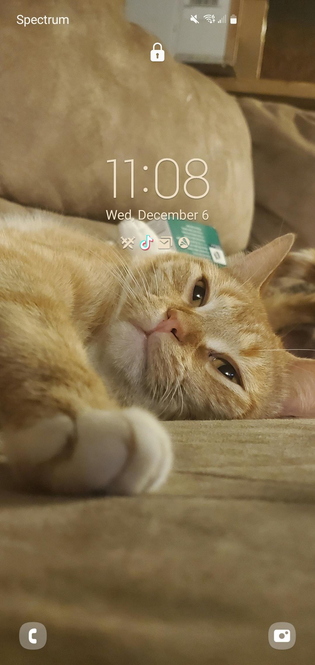 user avatar image for GWYNIFRED