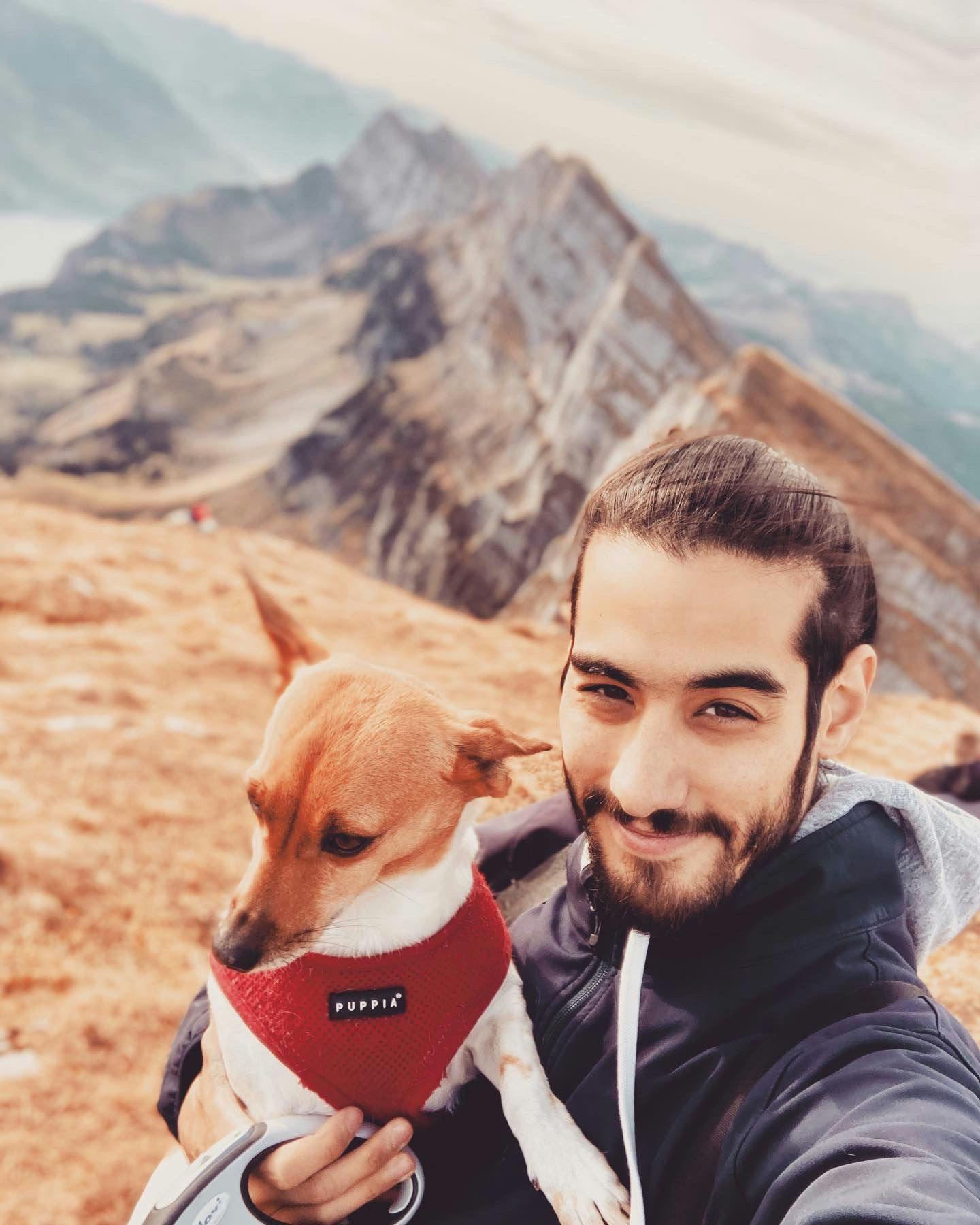 user avatar image for Andreas Perez