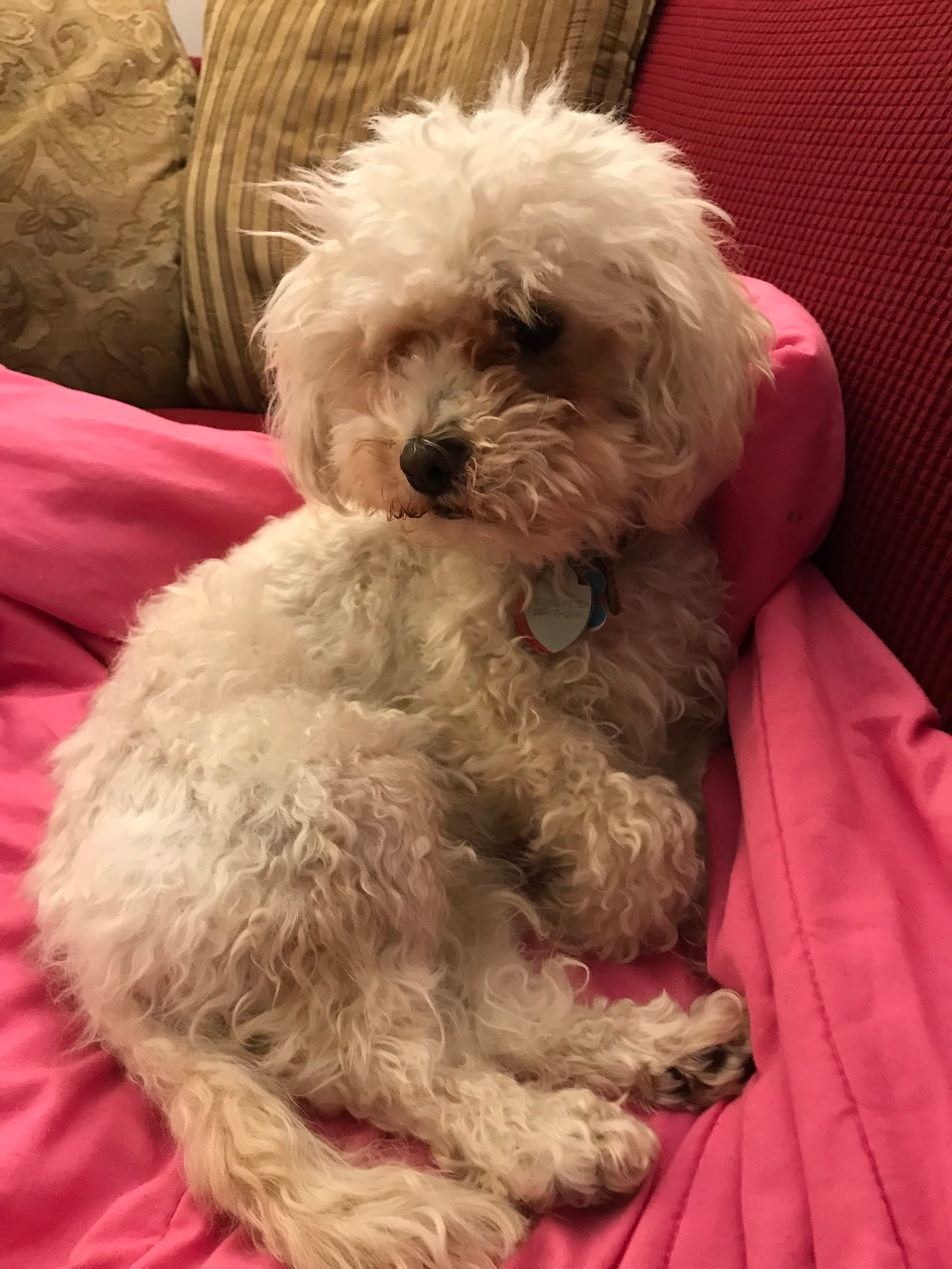 user avatar image for David Lee