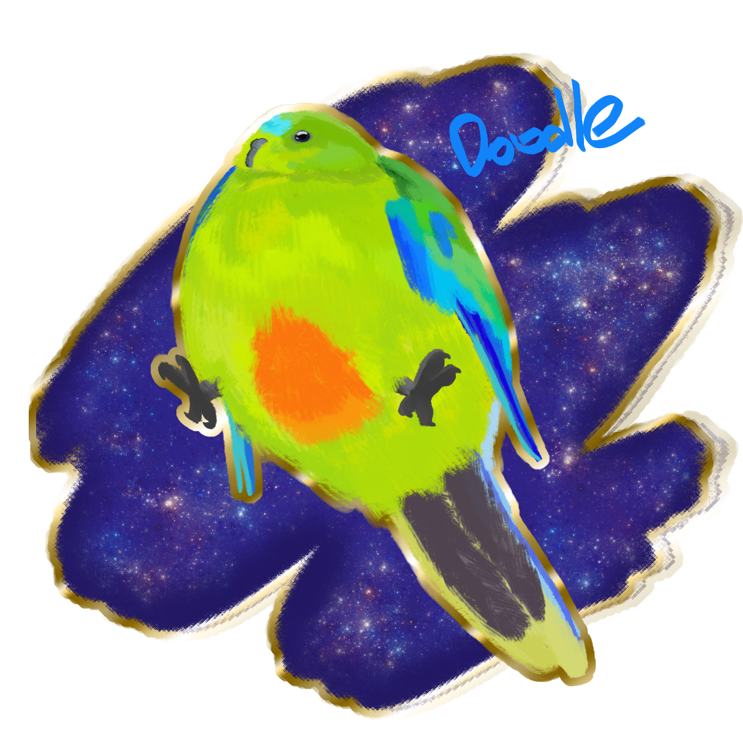 CHONKIER Parrot and BIG Galaxy 2