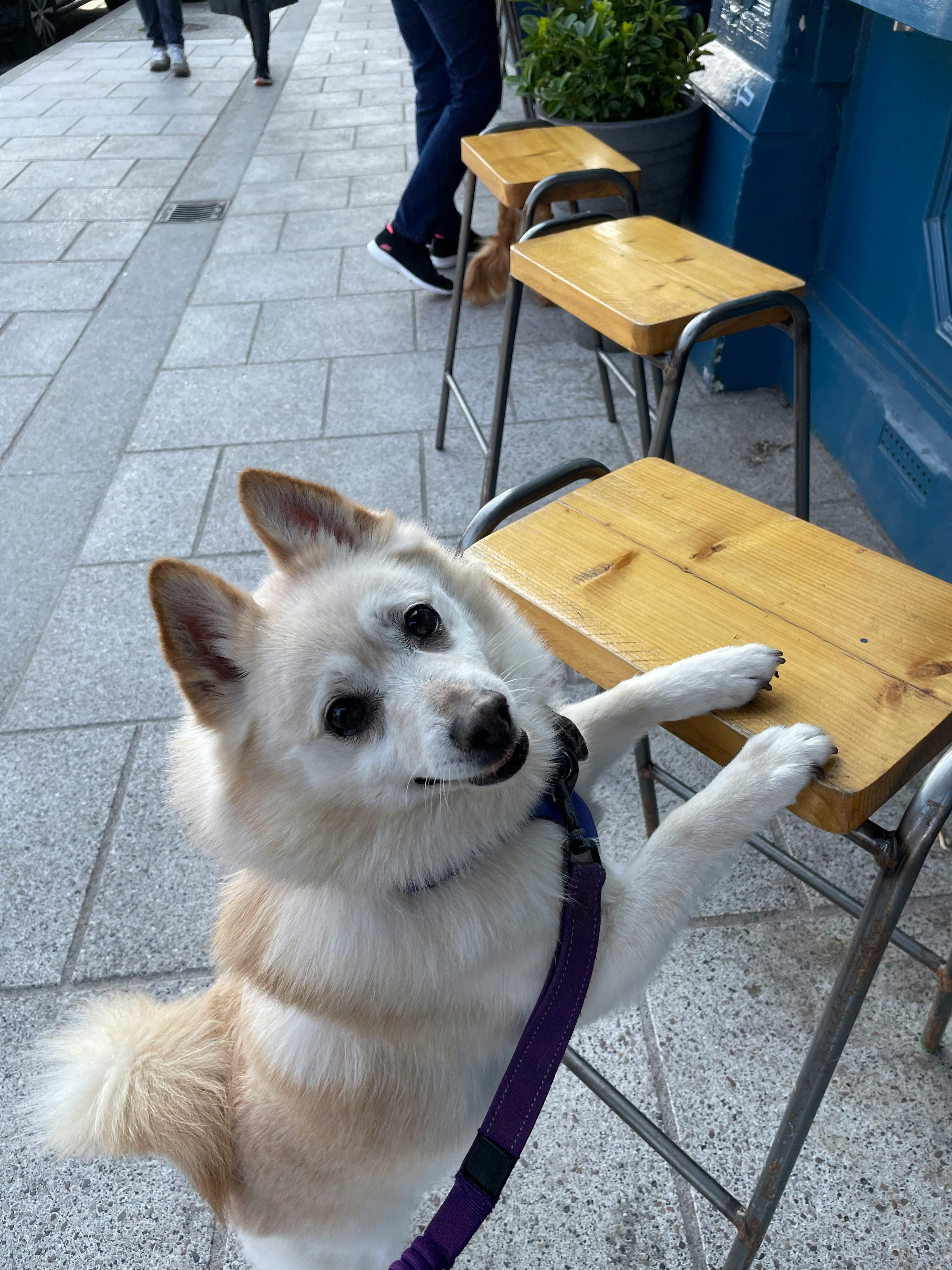 user avatar image for Elaine Dalgliesh