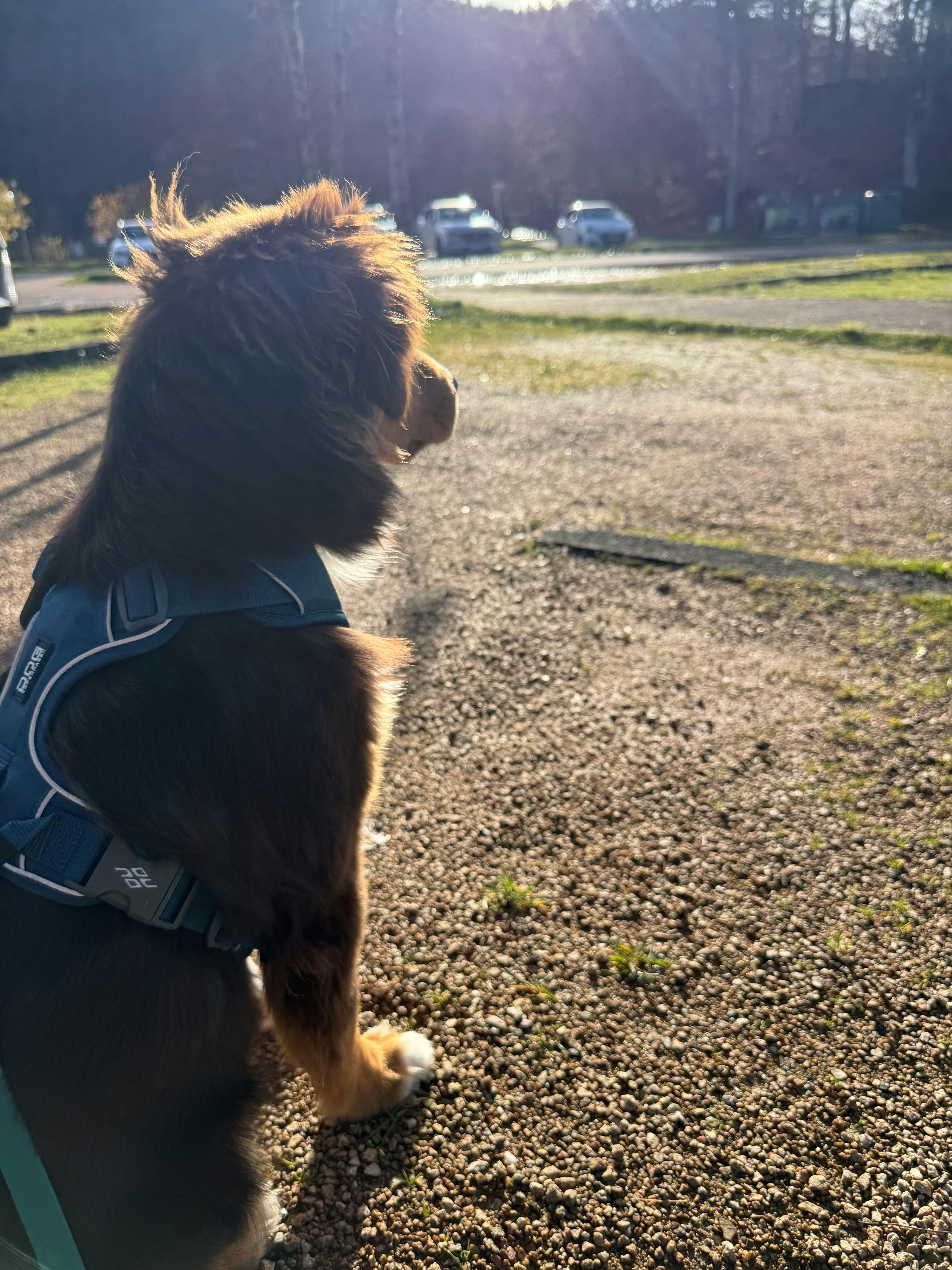 user avatar image for jib636