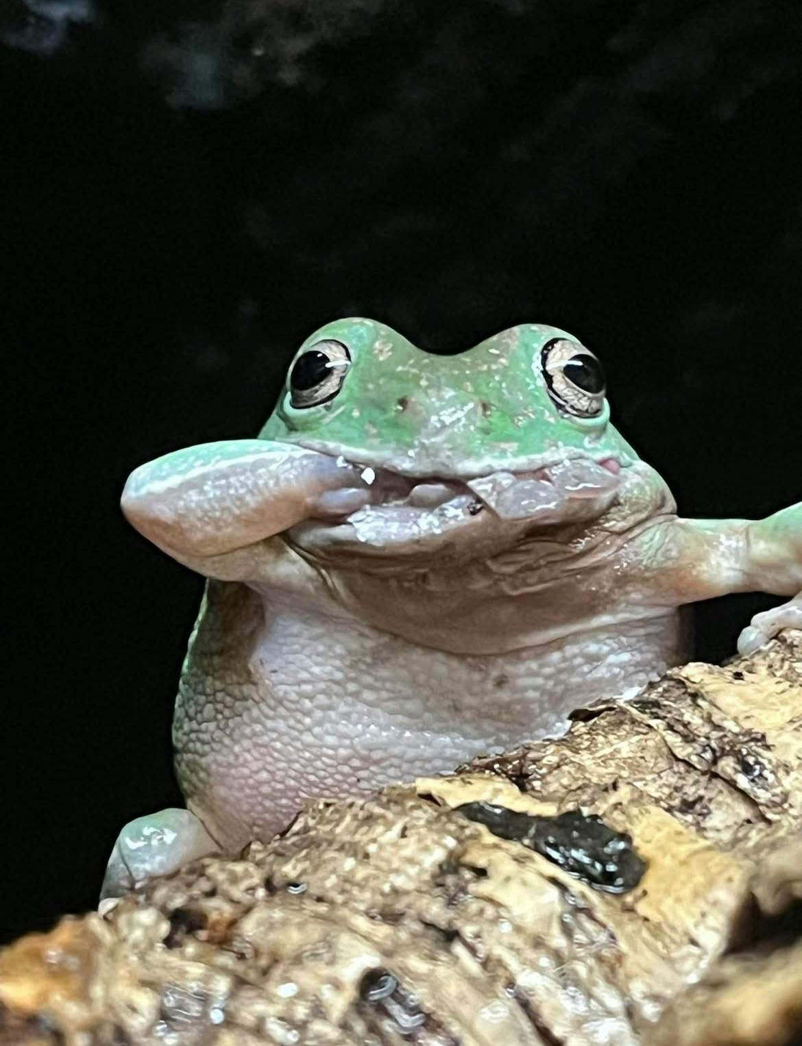 user avatar image for Law