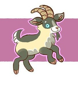 Goat