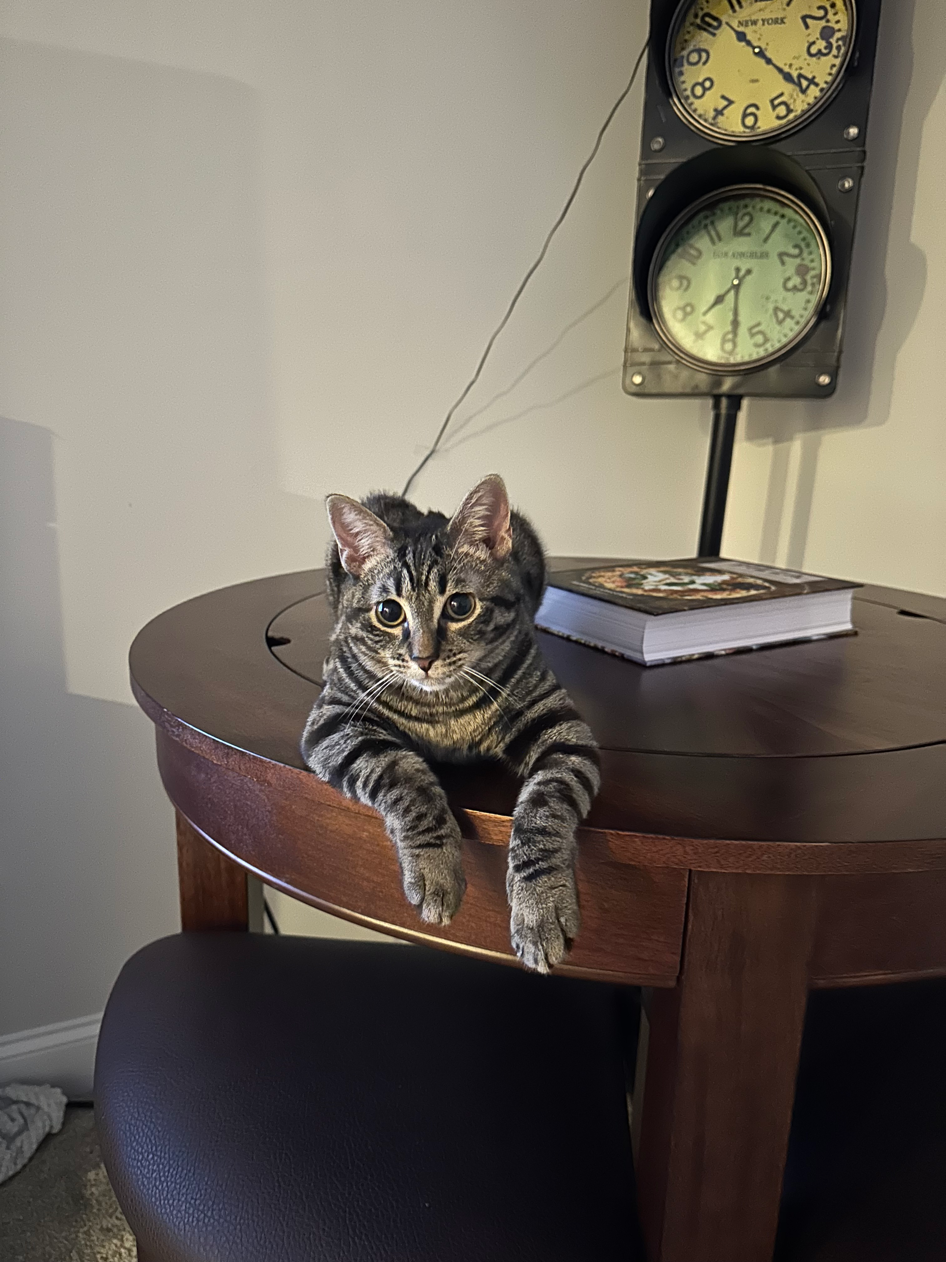 user avatar image for AFunLad