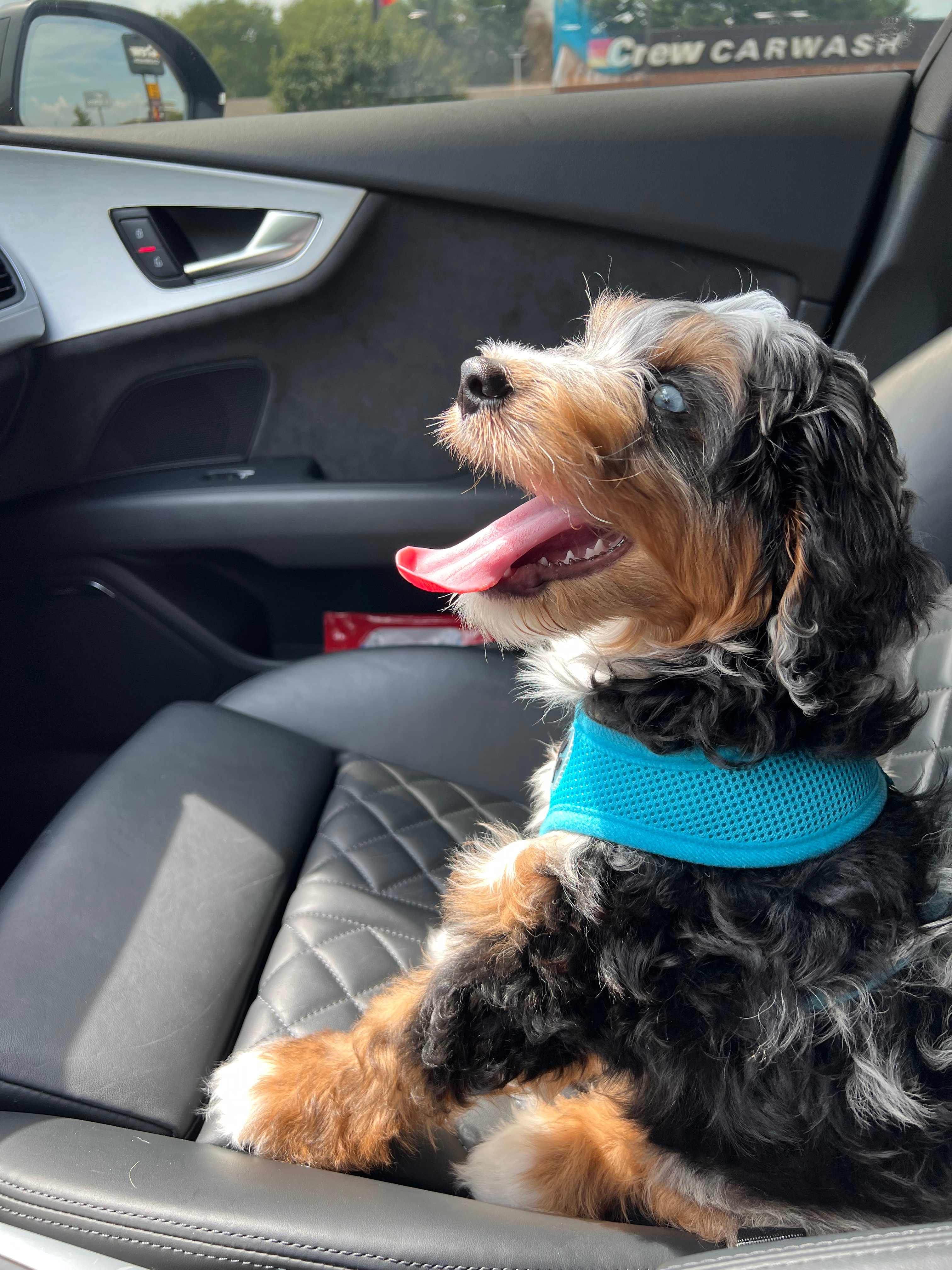 user avatar image for Joel Hutton